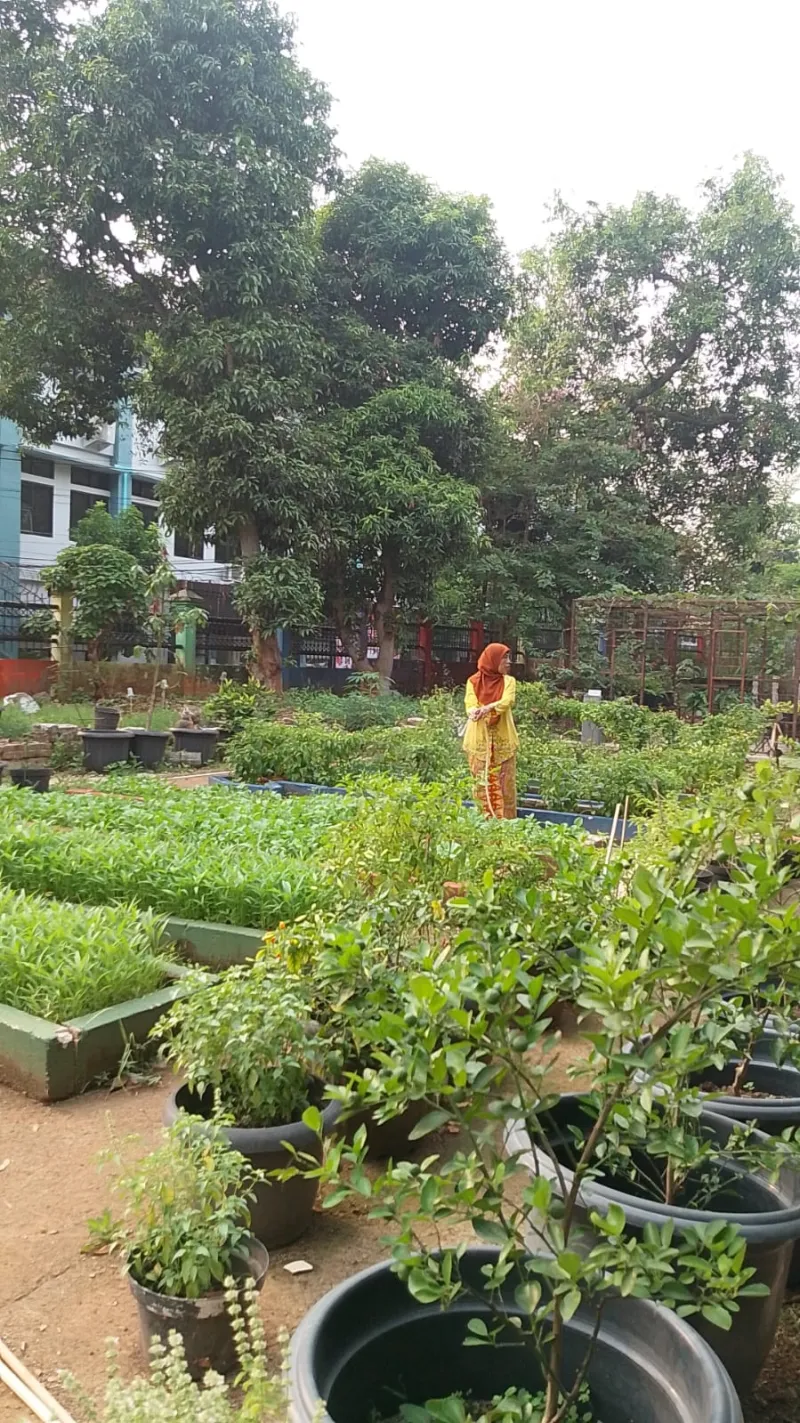 Lahan Urban Farming SMAN 109 Jakarta - Gambar 37