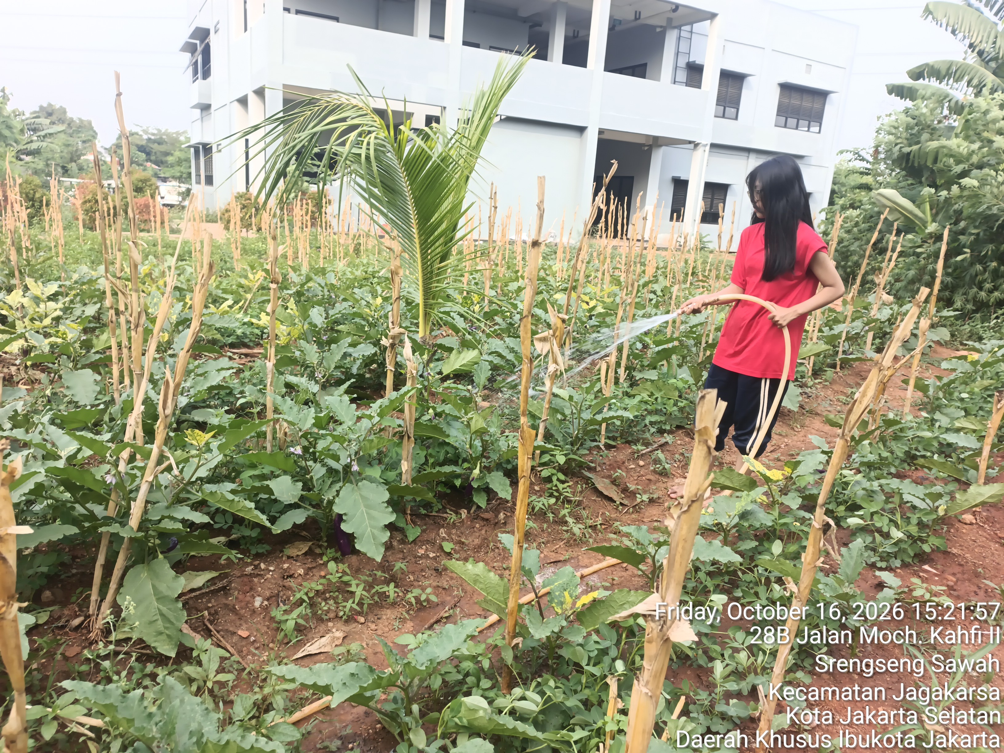 KEBUN SMKN 74 JAGAKARSA JAKARTA SELATAN - Gambar 36