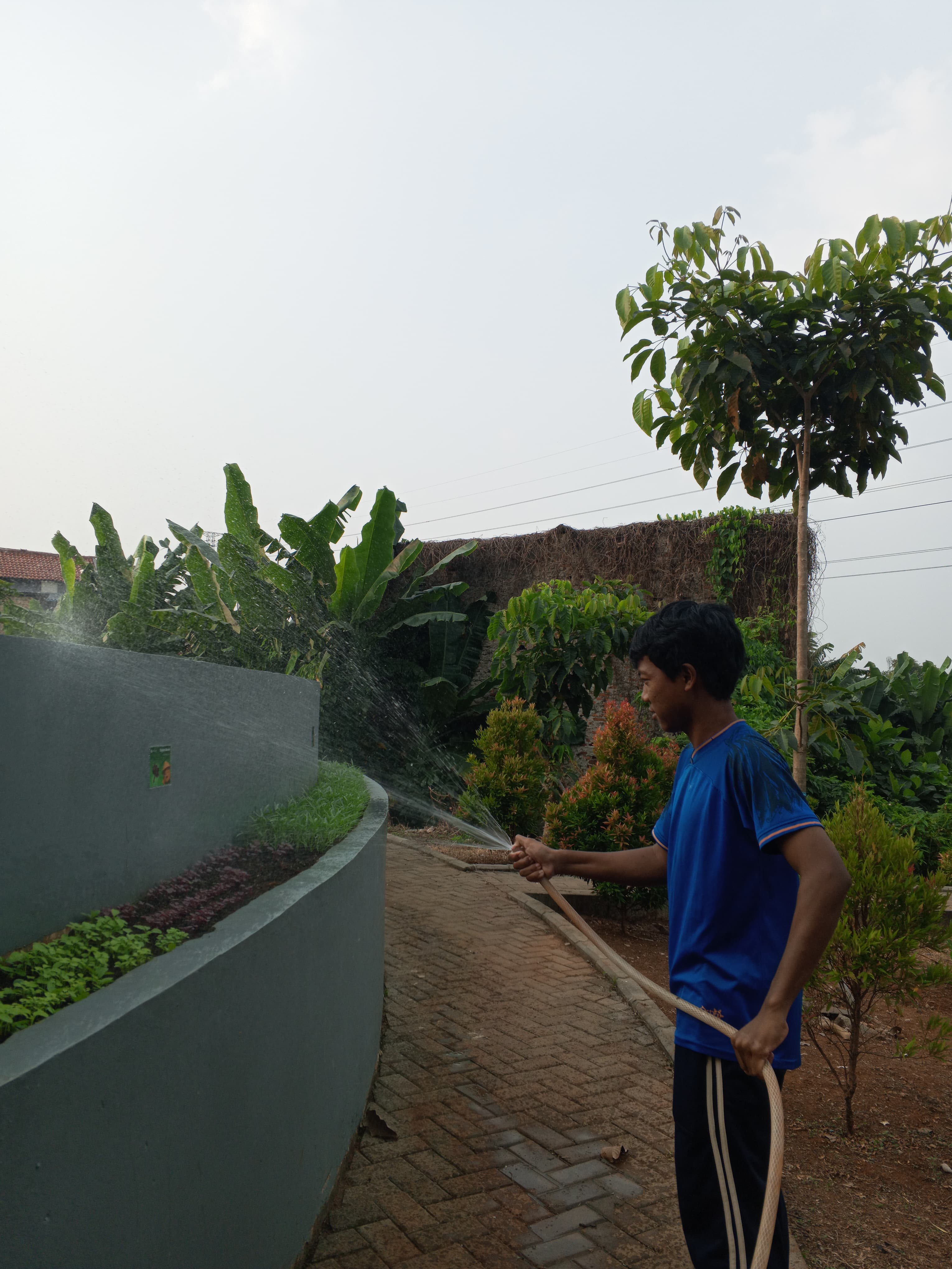 KEBUN SMKN 74 JAGAKARSA JAKARTA SELATAN - Gambar 595