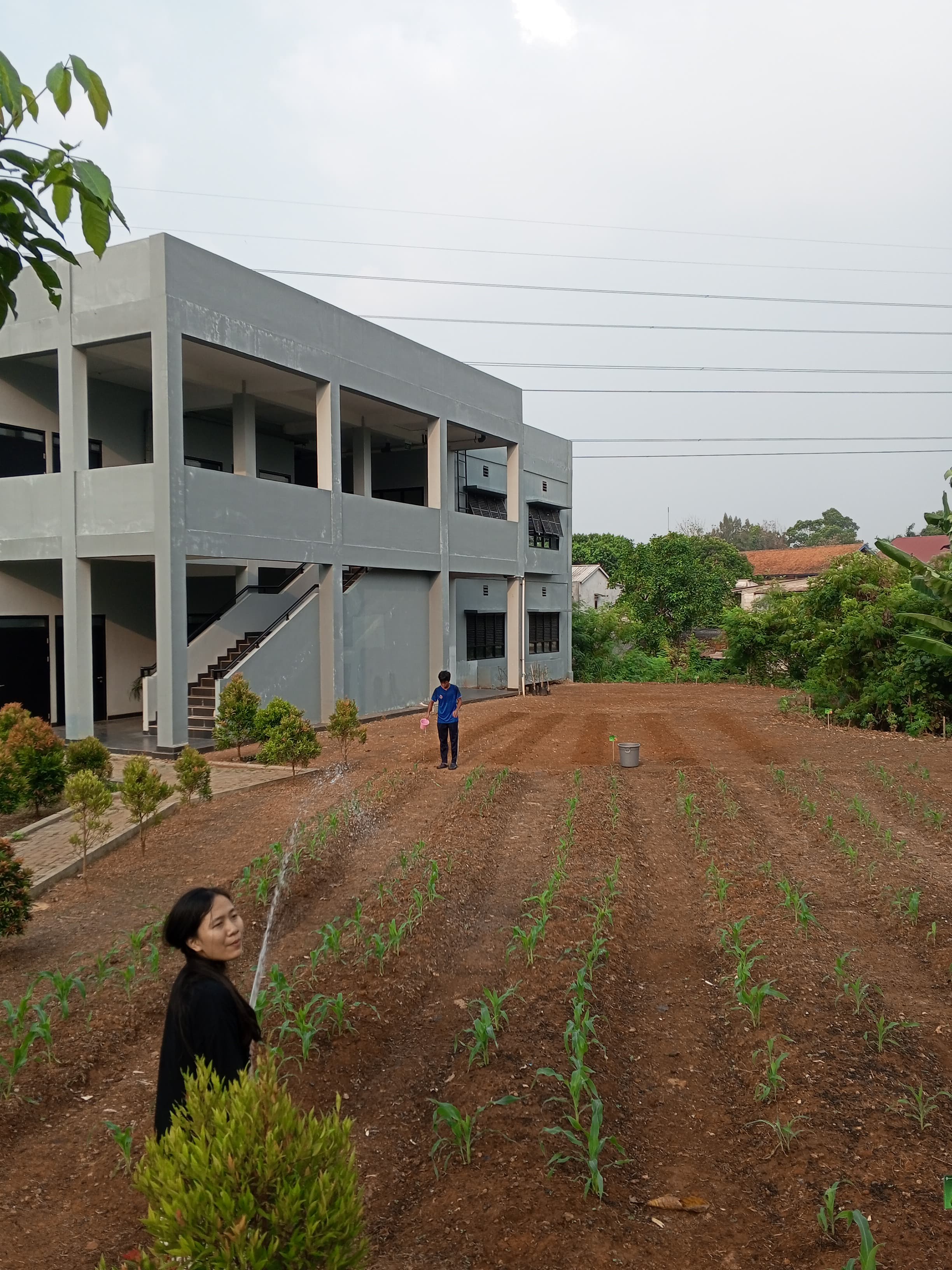 KEBUN SMKN 74 JAGAKARSA JAKARTA SELATAN - Gambar 593