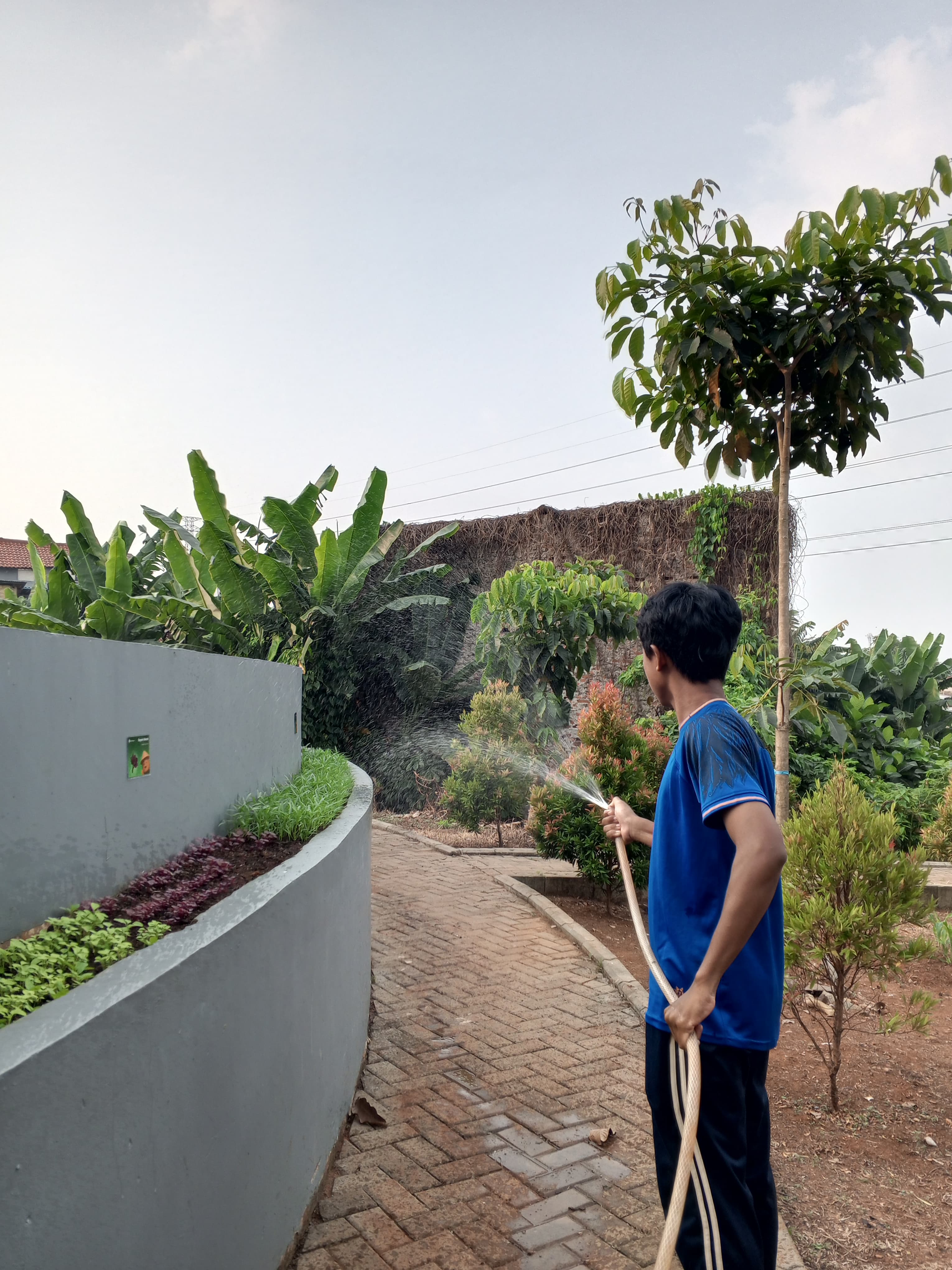 KEBUN SMKN 74 JAGAKARSA JAKARTA SELATAN - Gambar 594