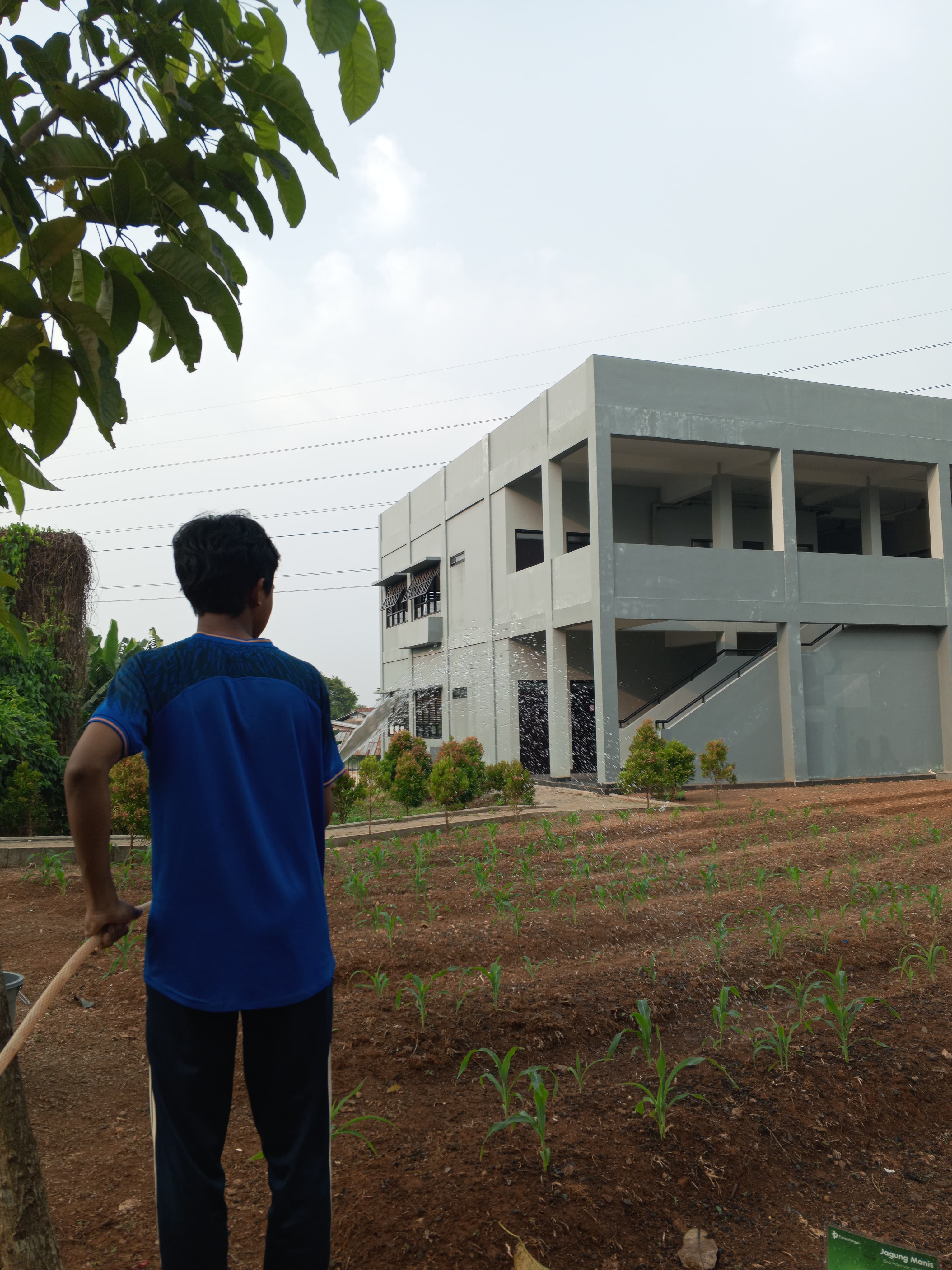 KEBUN SMKN 74 JAGAKARSA JAKARTA SELATAN - Gambar 596