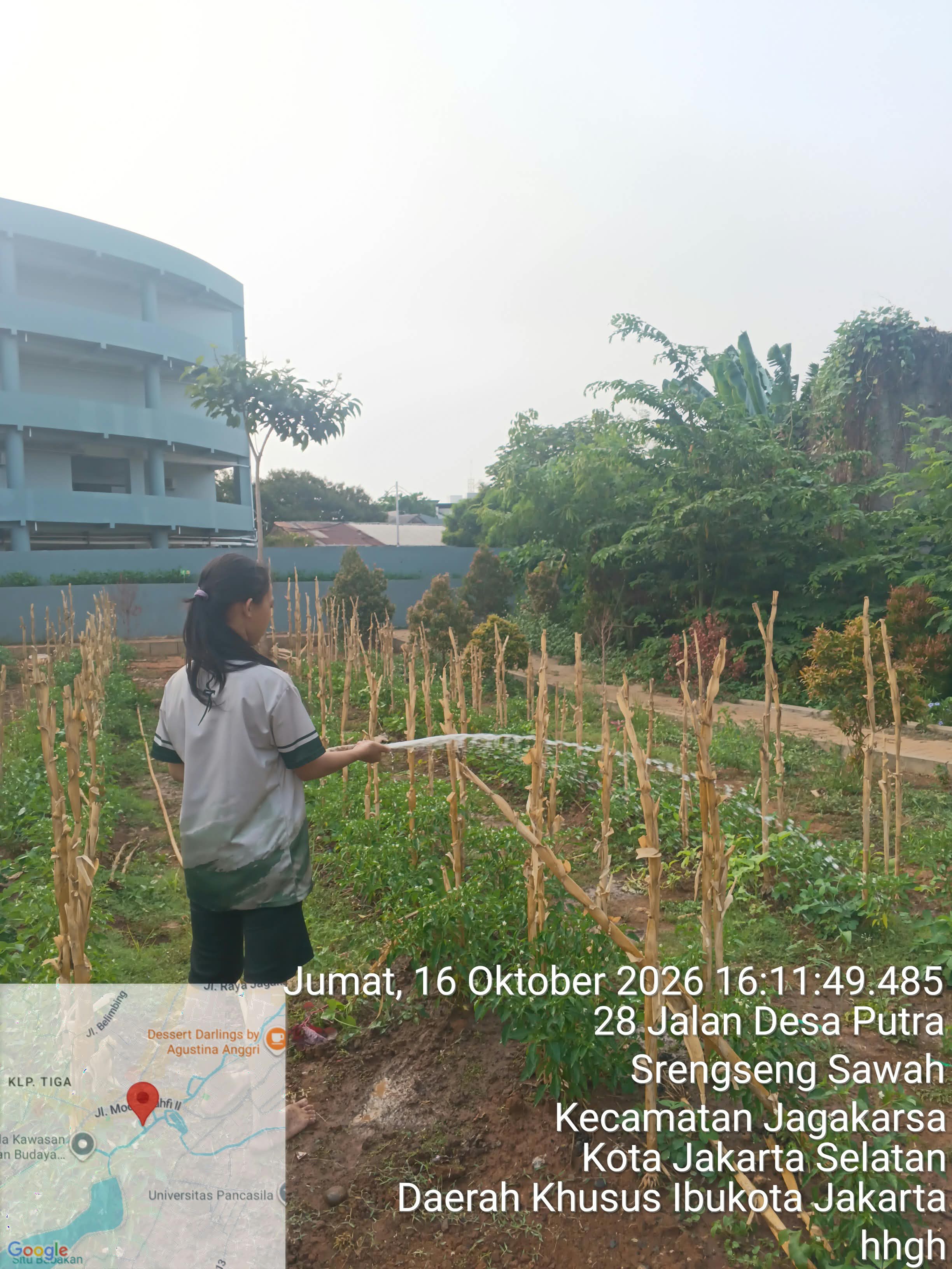 KEBUN SMKN 74 JAGAKARSA JAKARTA SELATAN - Gambar 34