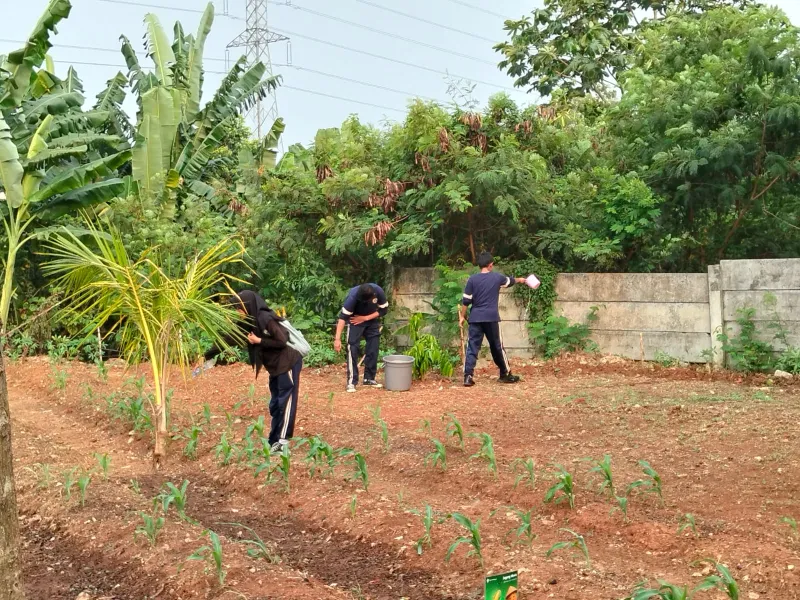 KEBUN SMKN 74 JAGAKARSA JAKARTA SELATAN - Gambar 592