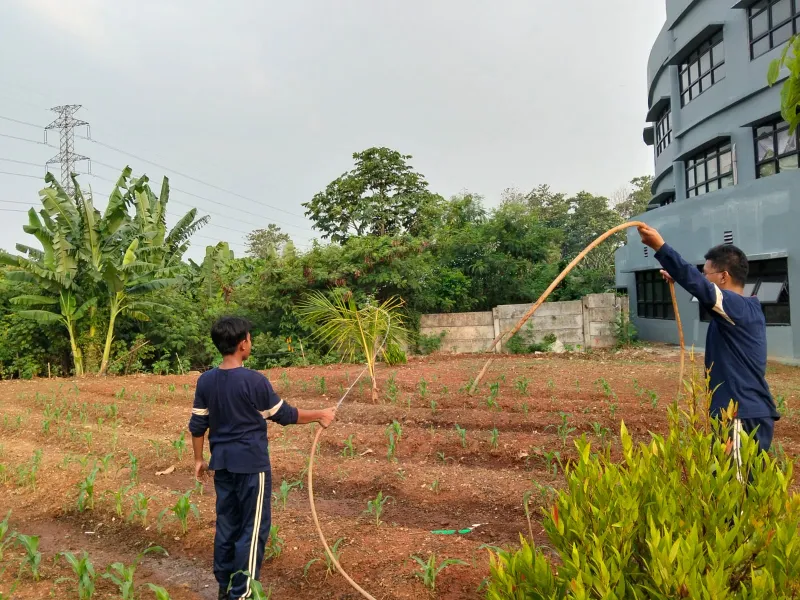 KEBUN SMKN 74 JAGAKARSA JAKARTA SELATAN - Gambar 591