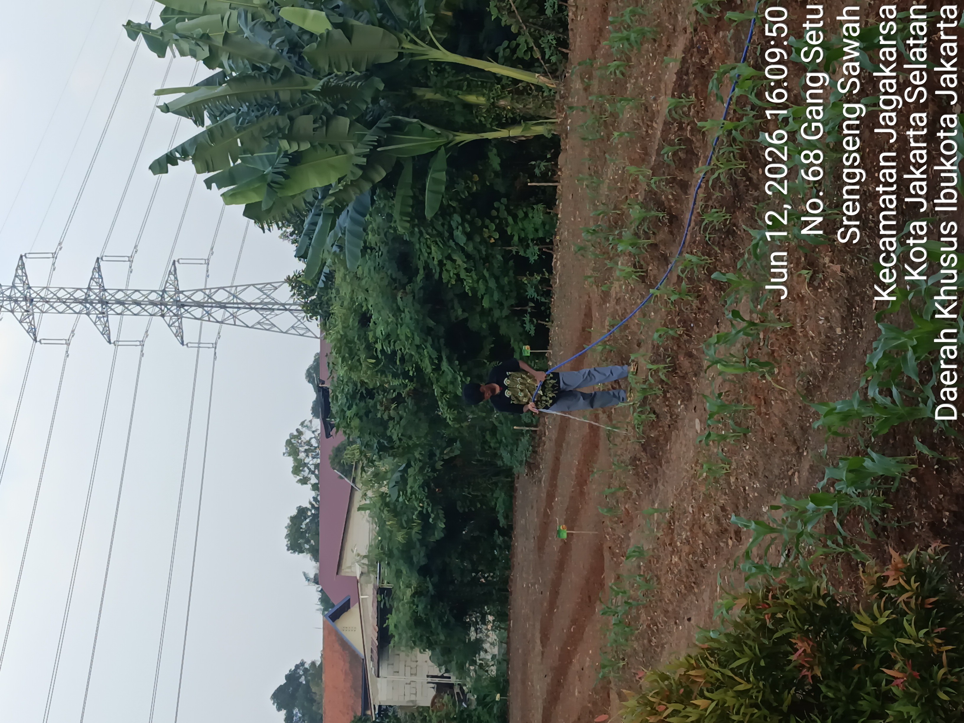 KEBUN SMKN 74 JAGAKARSA JAKARTA SELATAN - Gambar 589