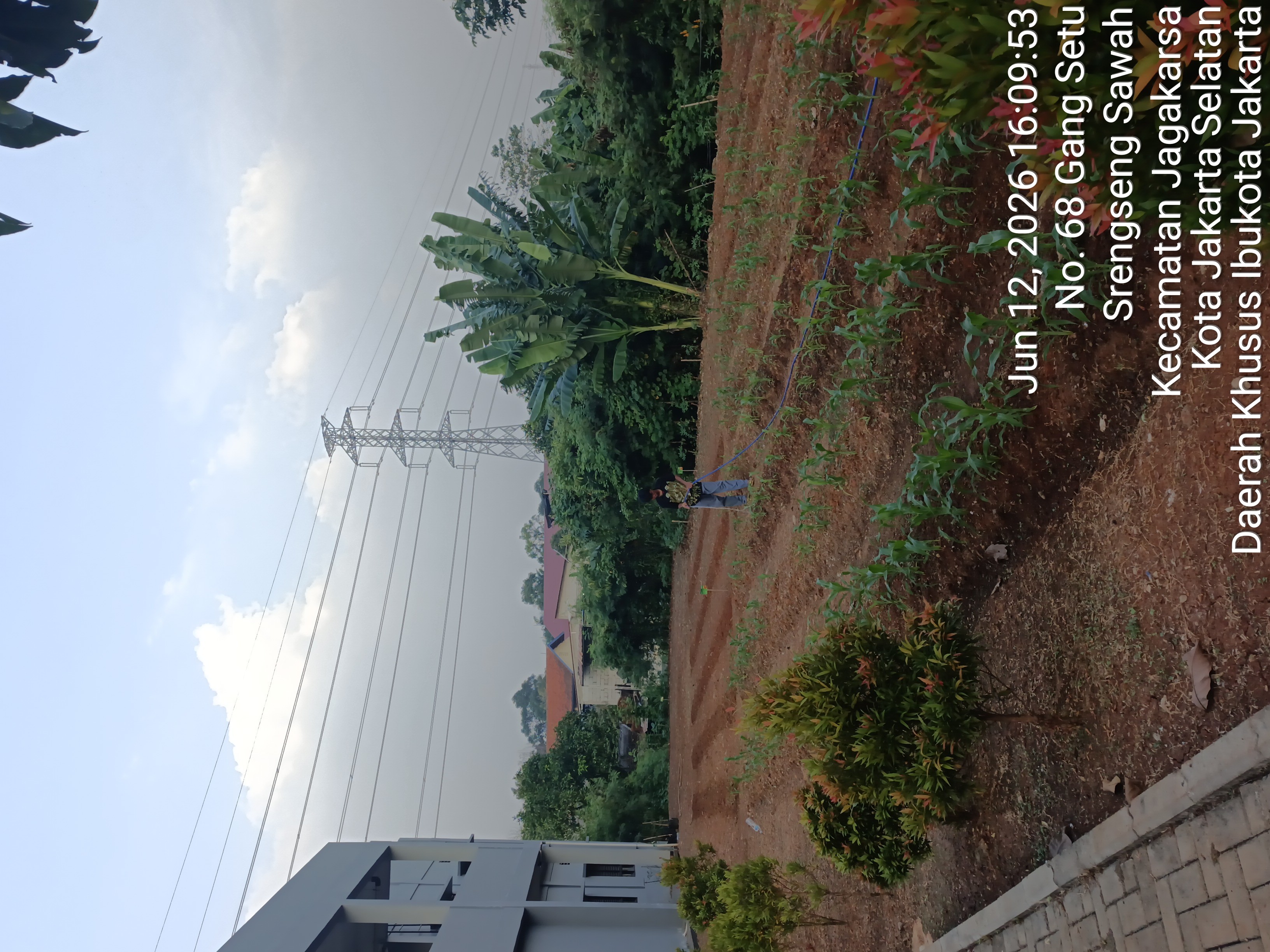 KEBUN SMKN 74 JAGAKARSA JAKARTA SELATAN - Gambar 588