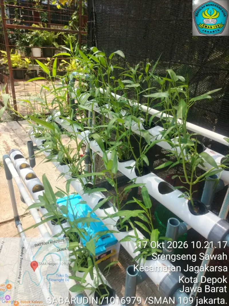 Lahan Urban Farming SMAN 109 Jakarta - Gambar 35