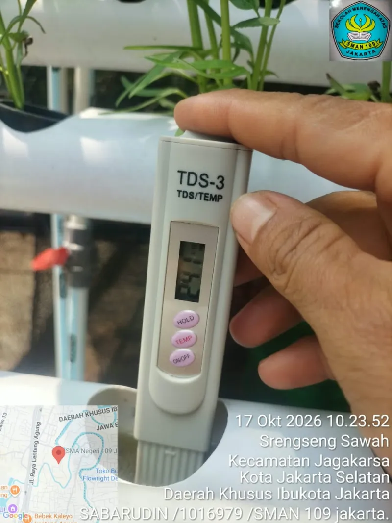 Lahan Urban Farming SMAN 109 Jakarta - Gambar 33