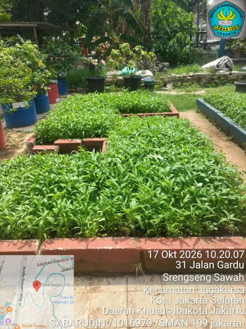 Lahan Urban Farming SMAN 109 Jakarta - Gambar 36