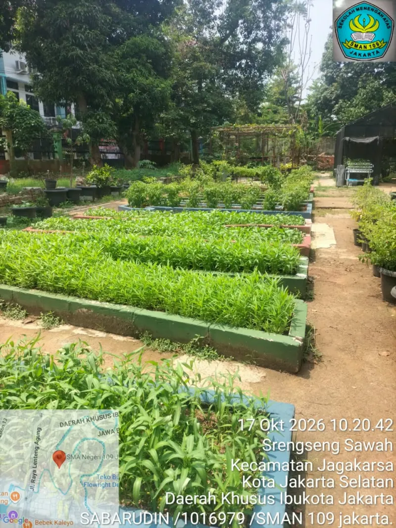 Lahan Urban Farming SMAN 109 Jakarta - Gambar 34