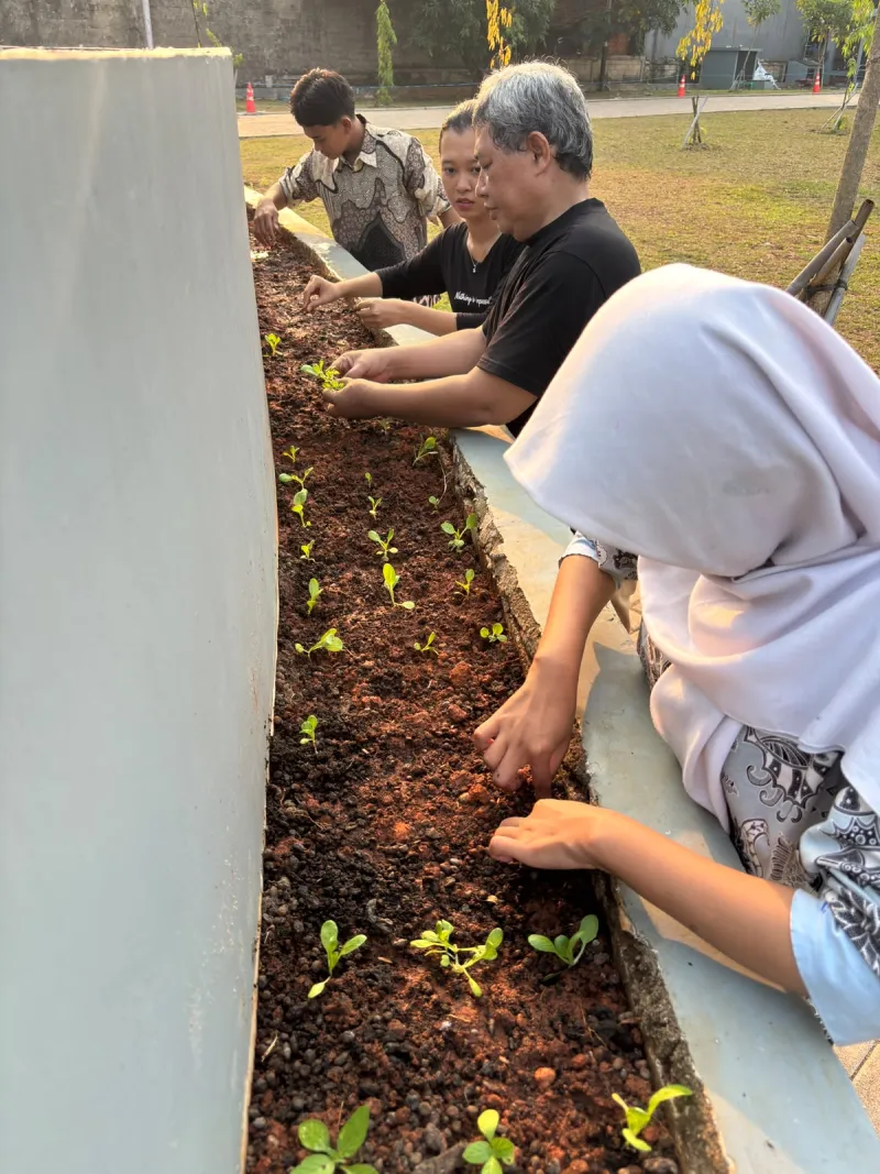 KEBUN SMKN 74 JAGAKARSA JAKARTA SELATAN - Gambar 585
