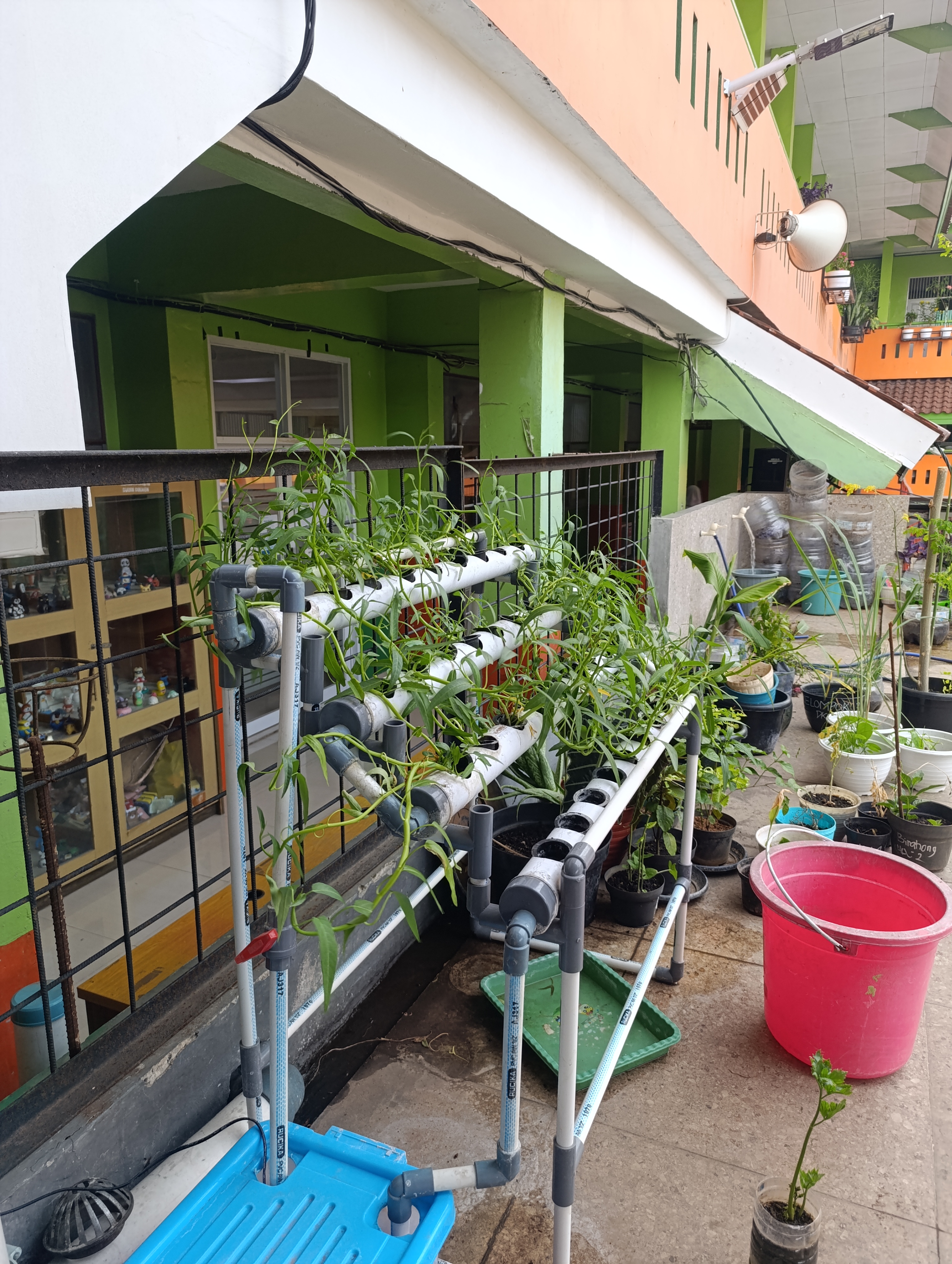 Lahan Urban Farming SMKN 41 Jakarta - Gambar 10