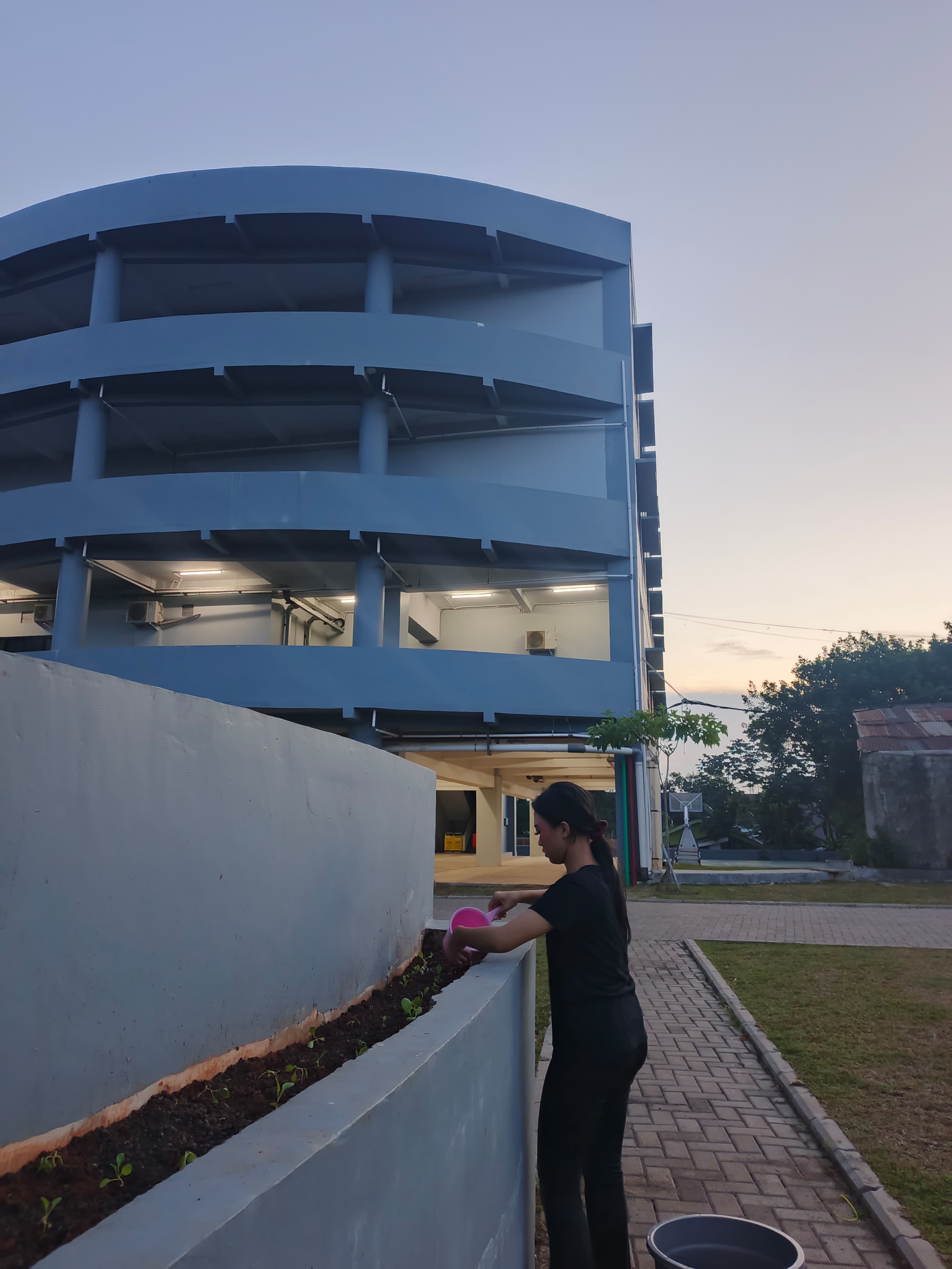 KEBUN SMKN 74 JAGAKARSA JAKARTA SELATAN - Gambar 582
