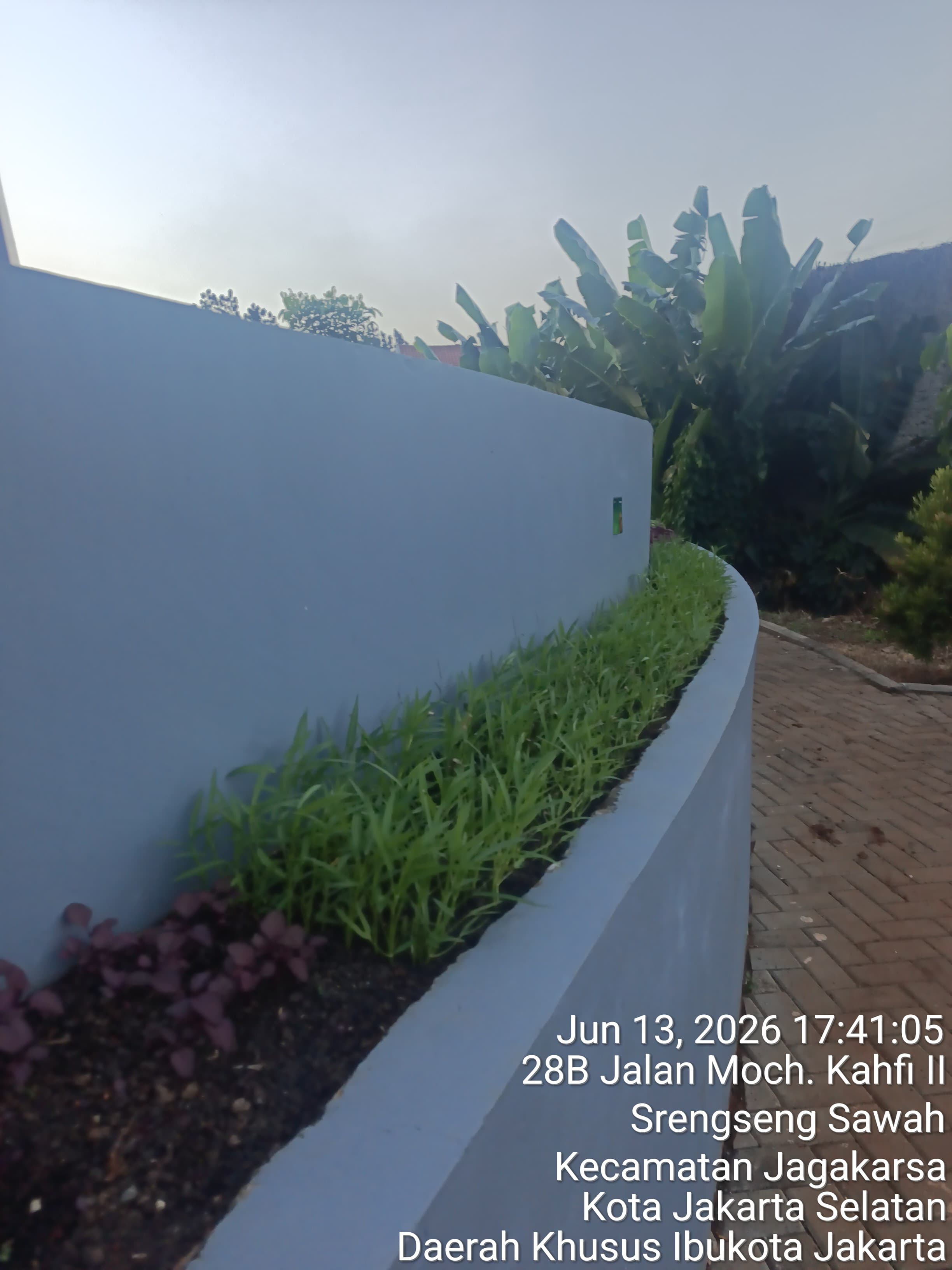 KEBUN SMKN 74 JAGAKARSA JAKARTA SELATAN - Gambar 584