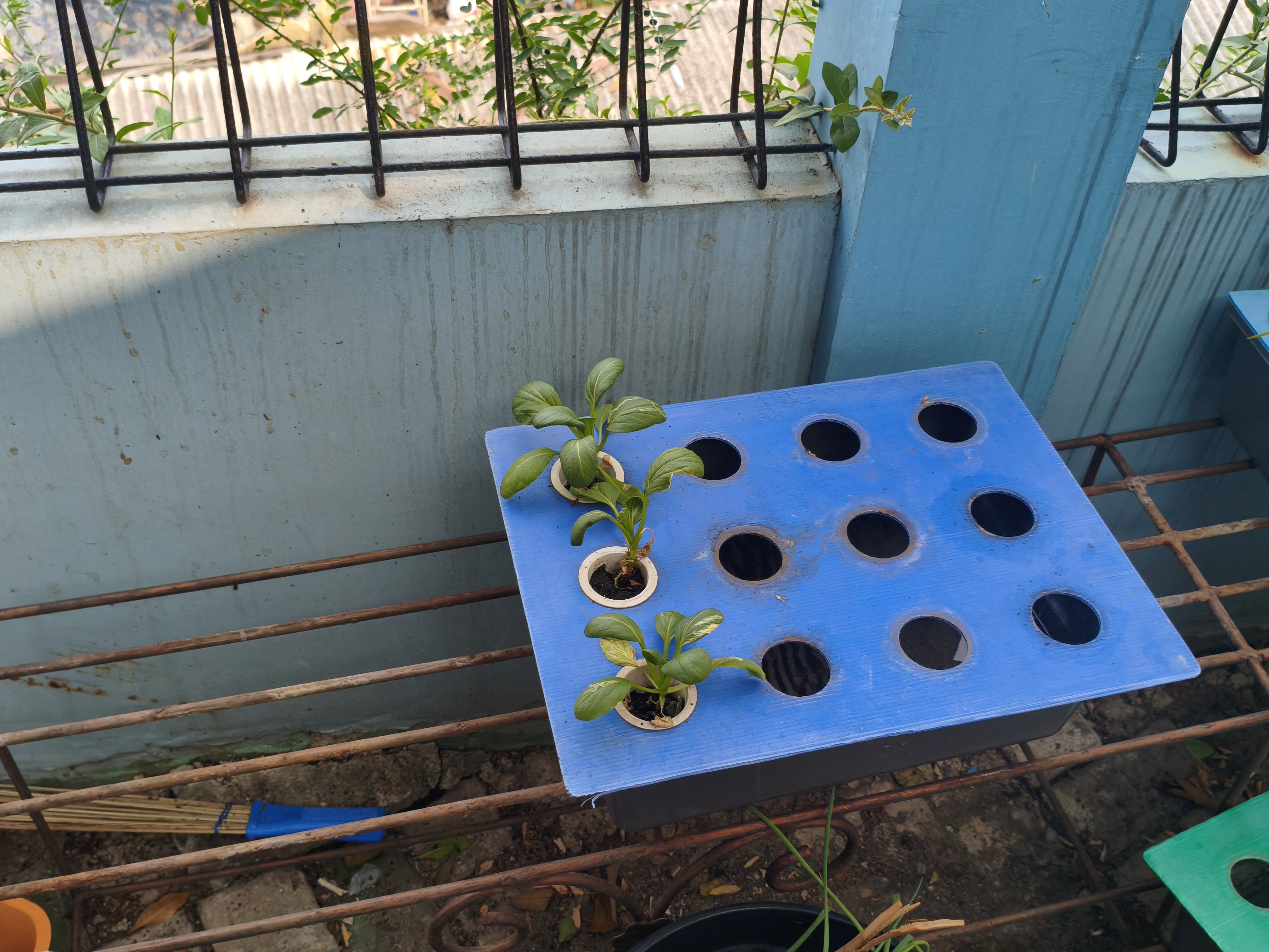 Lahan Urban Farming SMKN 43 Jakarta - Gambar 25