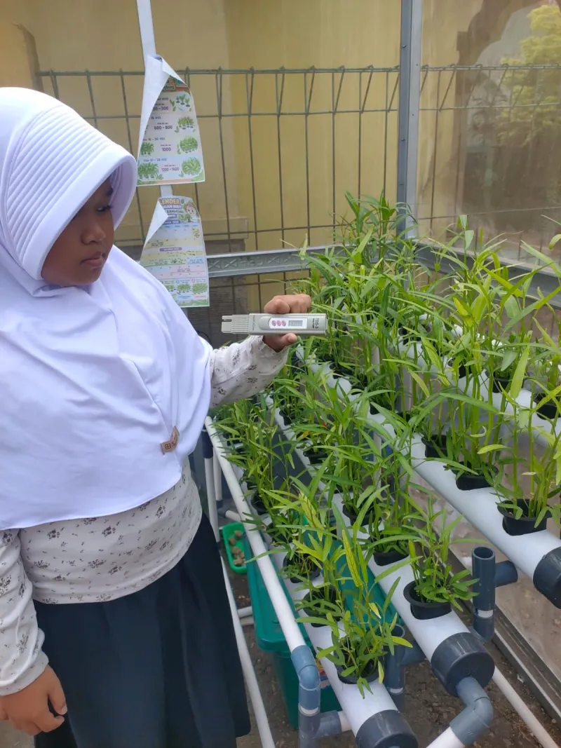Lahan Urban Farming SDN Cipulir 03 - Gambar 12