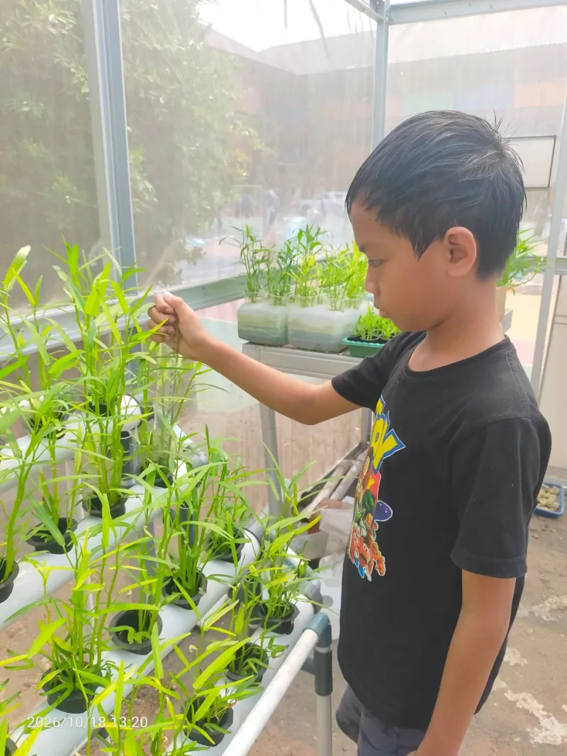 Lahan Urban Farming SDN Cipulir 03 - Gambar 9