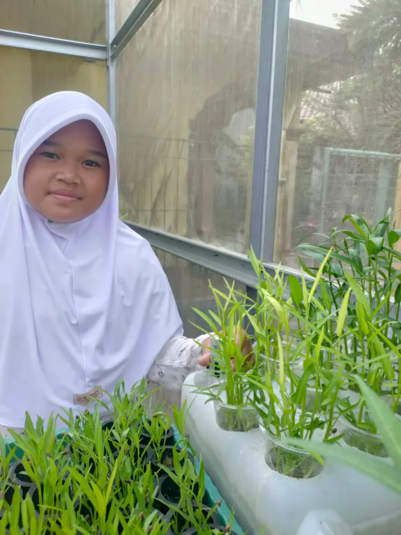 Lahan Urban Farming SDN Cipulir 03 - Gambar 16