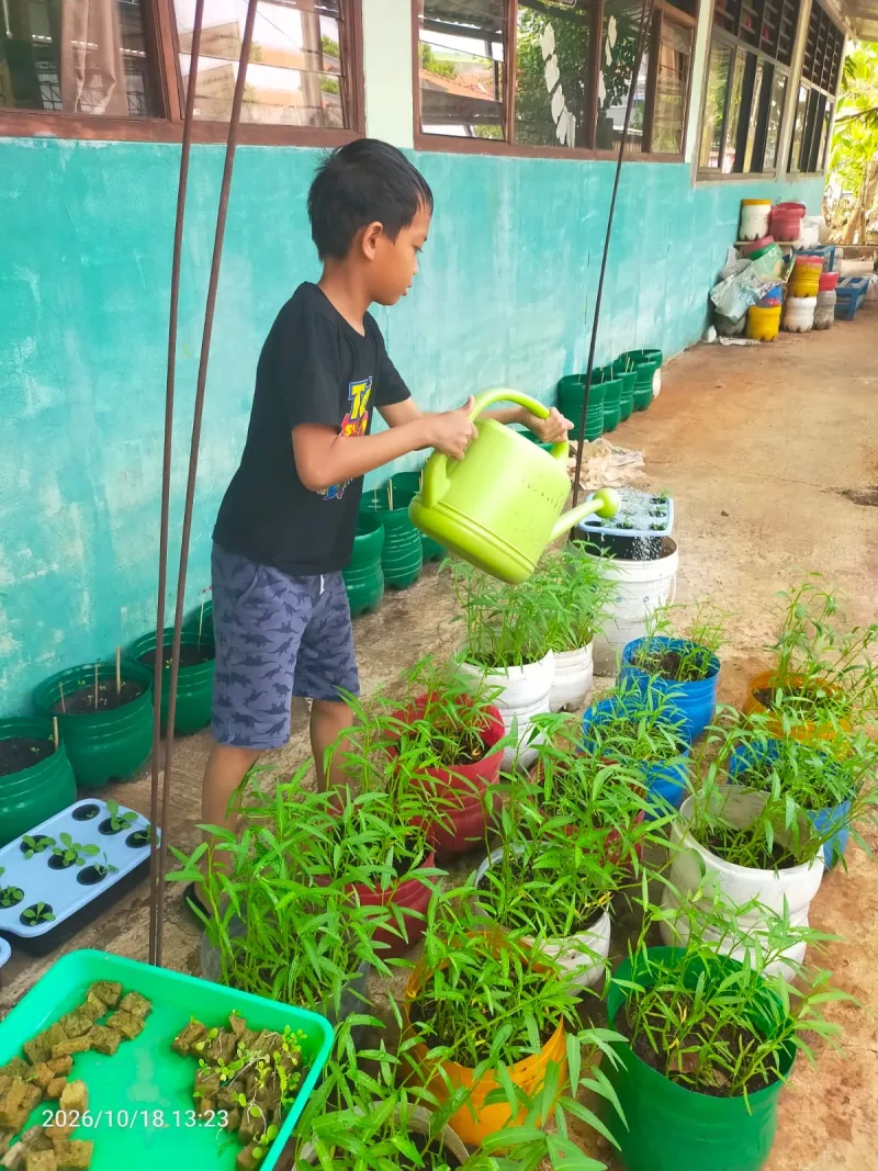 Lahan Urban Farming SDN Cipulir 03 - Gambar 6