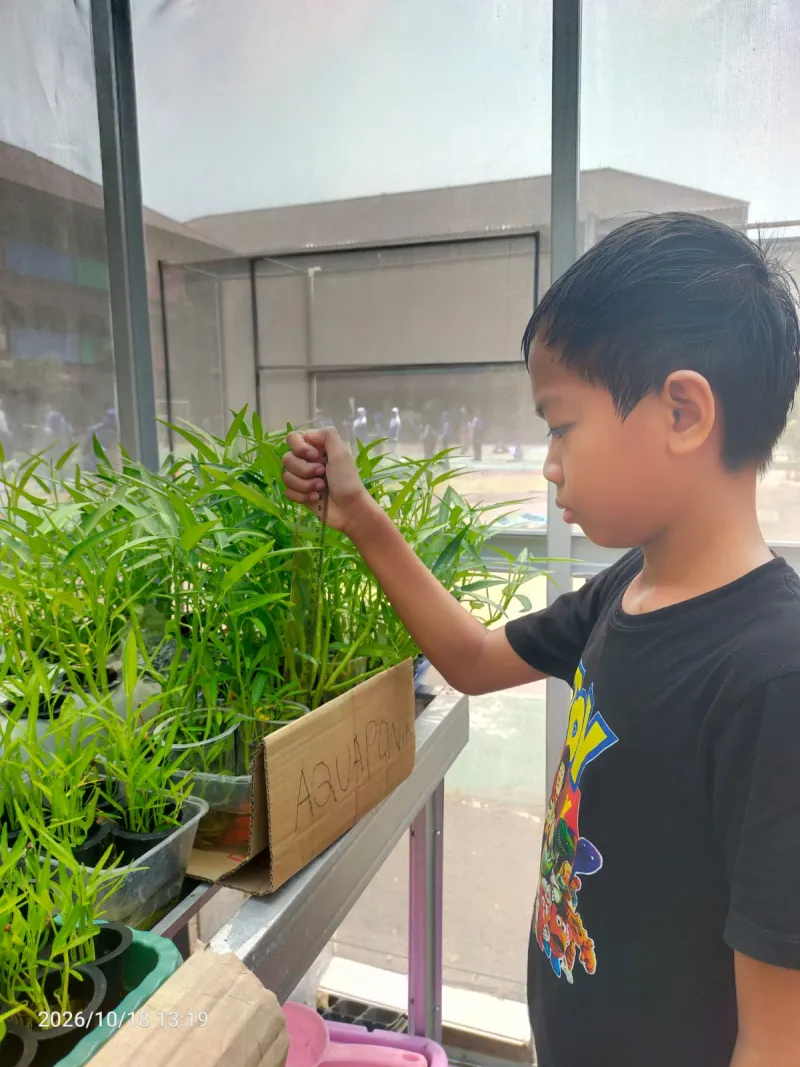 Lahan Urban Farming SDN Cipulir 03 - Gambar 8