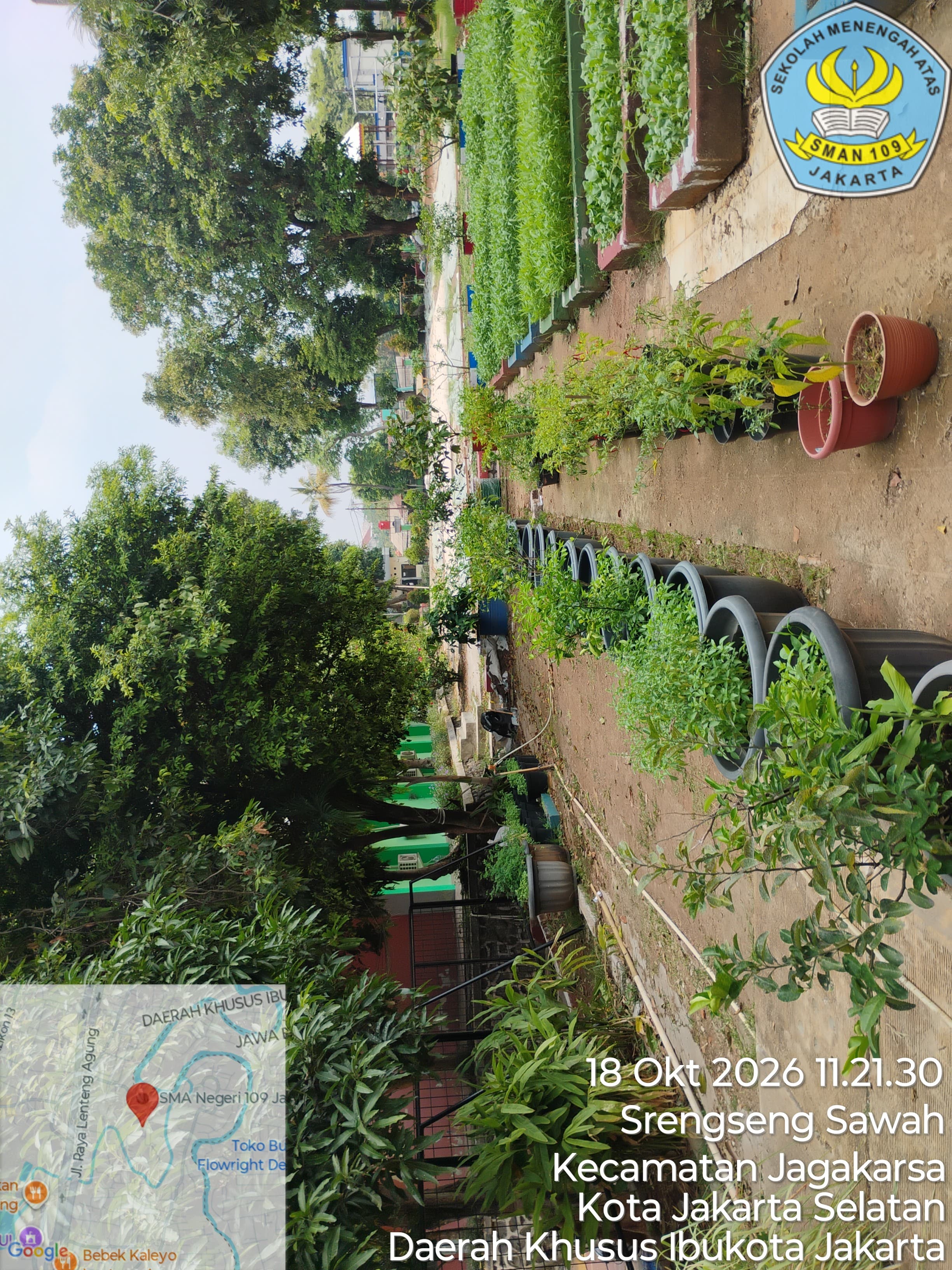 Lahan Urban Farming SMAN 109 Jakarta - Gambar 28