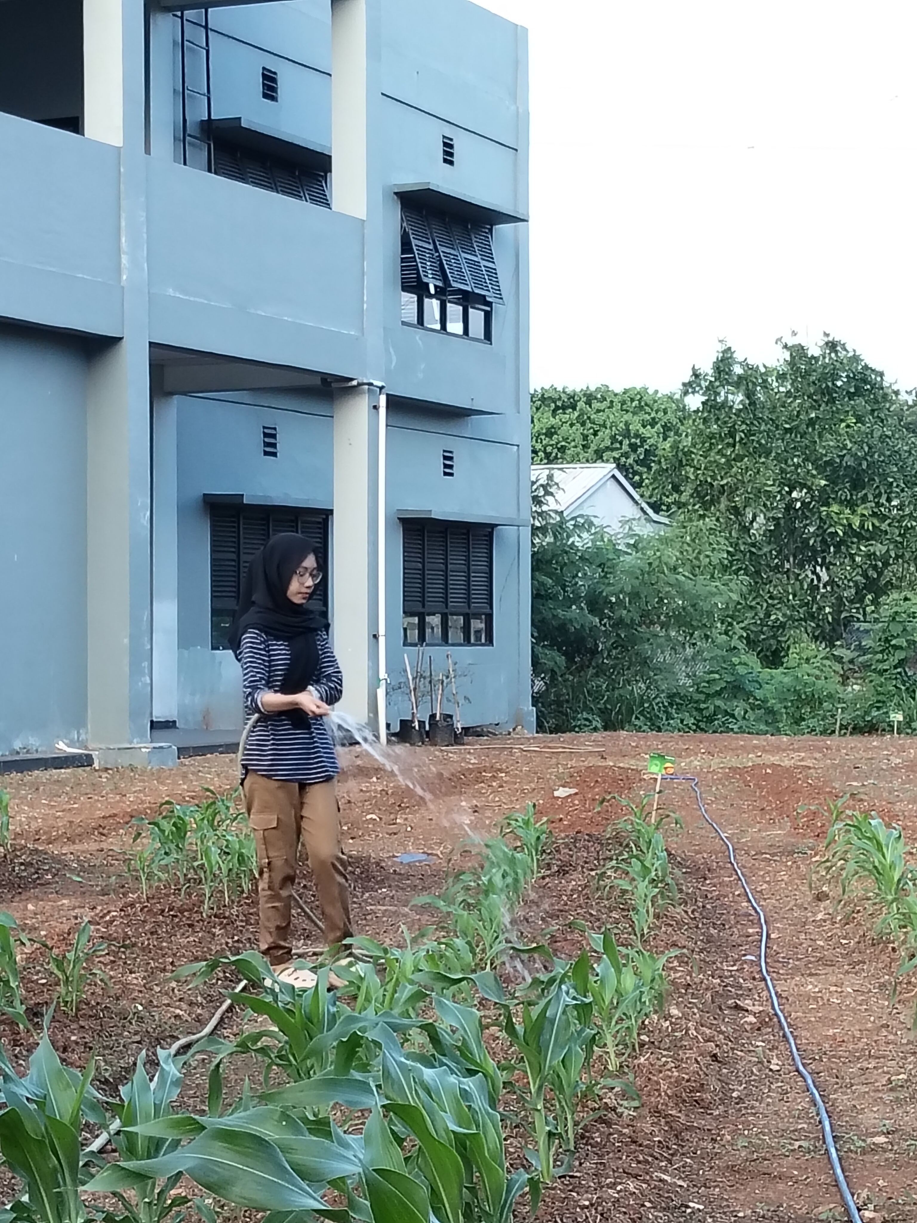 KEBUN SMKN 74 JAGAKARSA JAKARTA SELATAN - Gambar 580