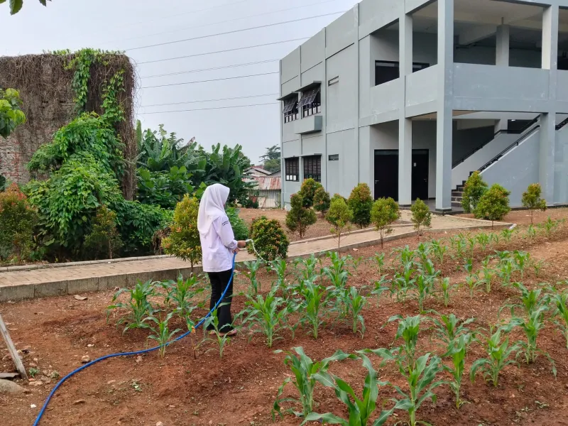 KEBUN SMKN 74 JAGAKARSA JAKARTA SELATAN - Gambar 577