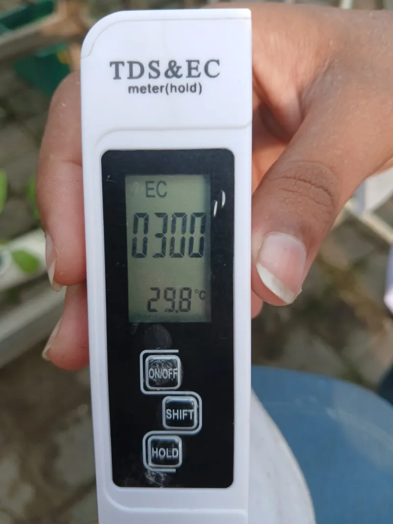 Lahan Urban Farming SMKN 59 Jakarta - Gambar 26