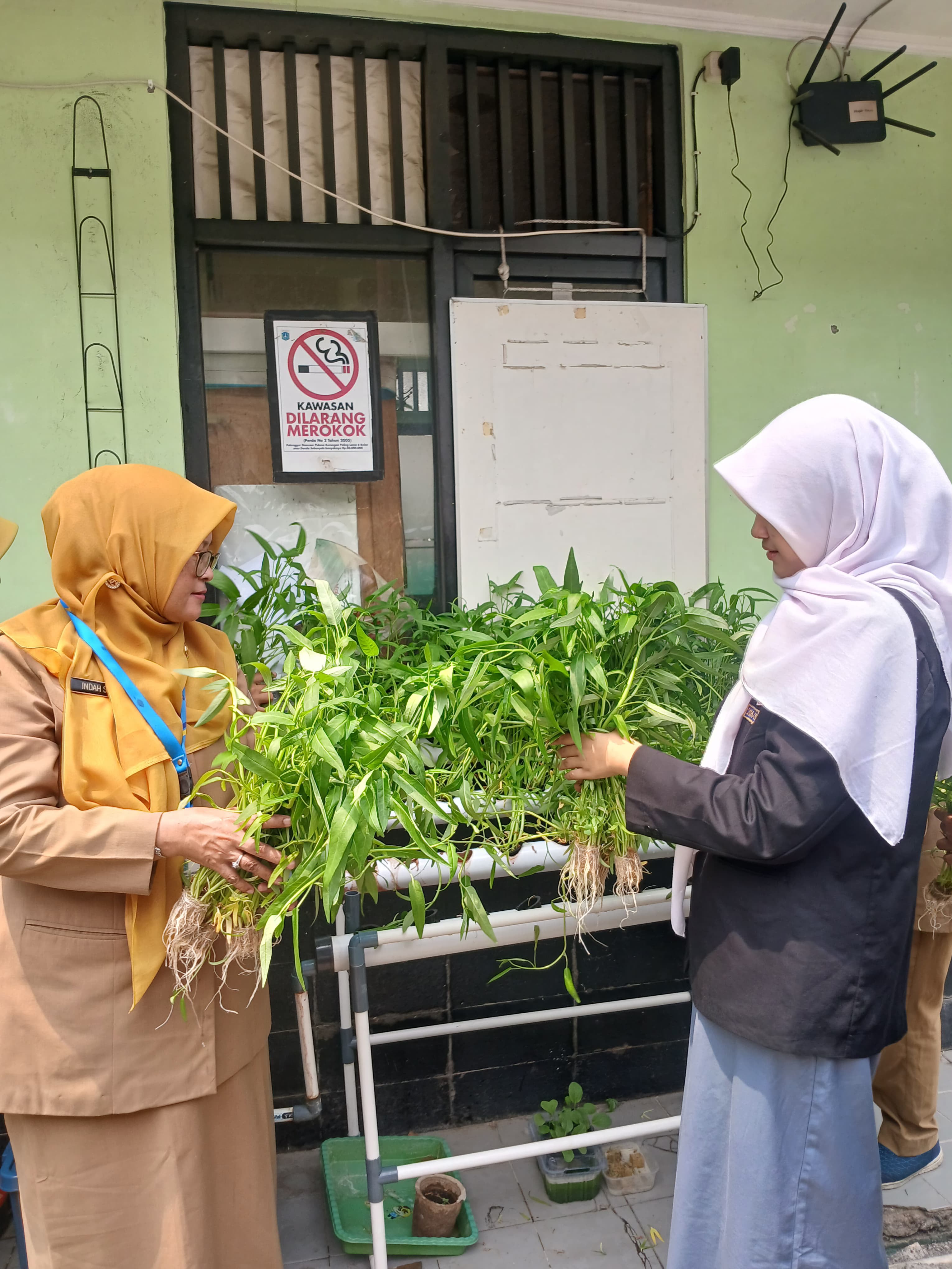 Lahan Urban Farming SMKN 20 Jakarta - Gambar 17