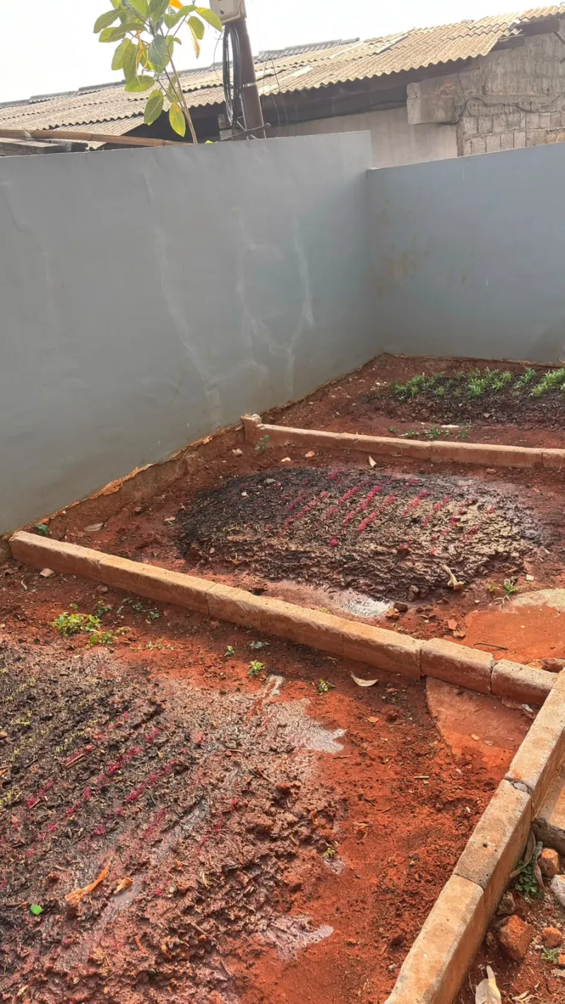 Lahan Urban Farming SMAN 116 Jakarta - Gambar 32
