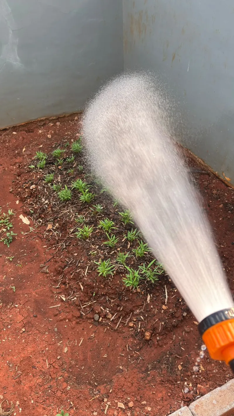 Lahan Urban Farming SMAN 116 Jakarta - Gambar 31
