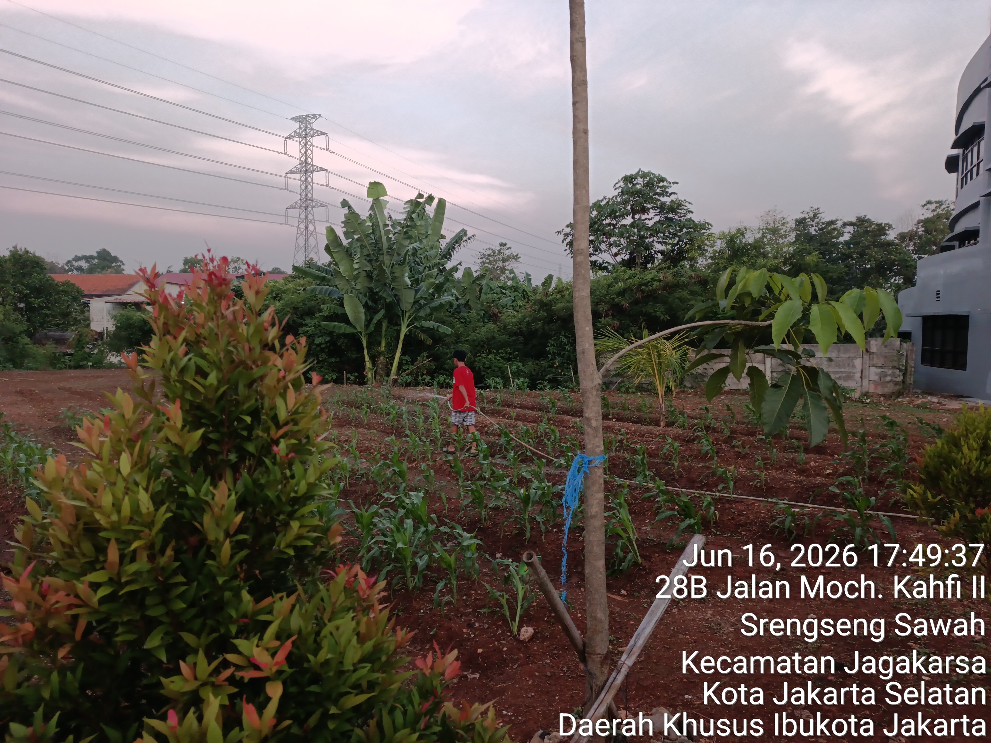 KEBUN SMKN 74 JAGAKARSA JAKARTA SELATAN - Gambar 572