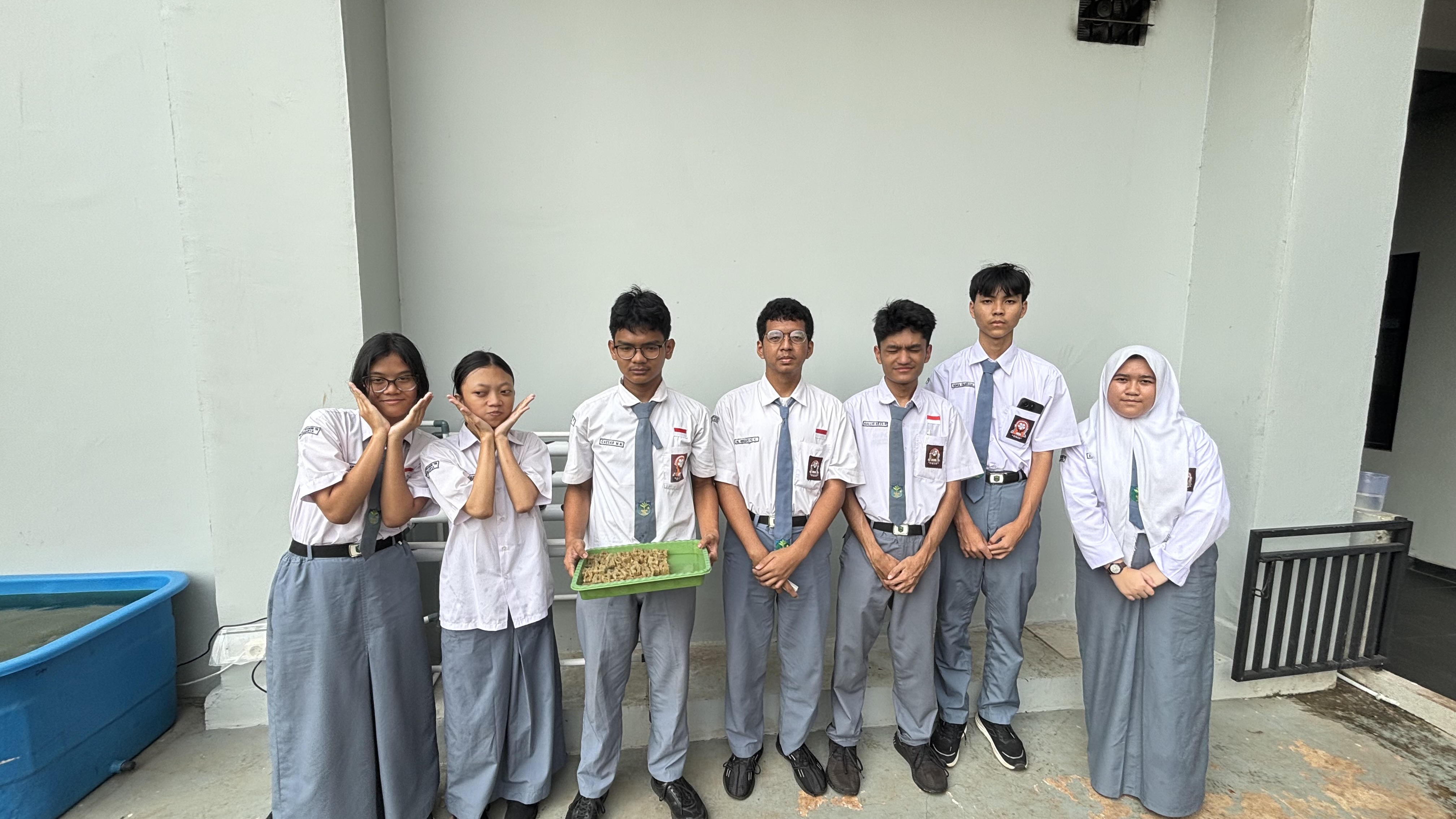 Lahan Urban Farming SMAN 116 Jakarta - Gambar 17