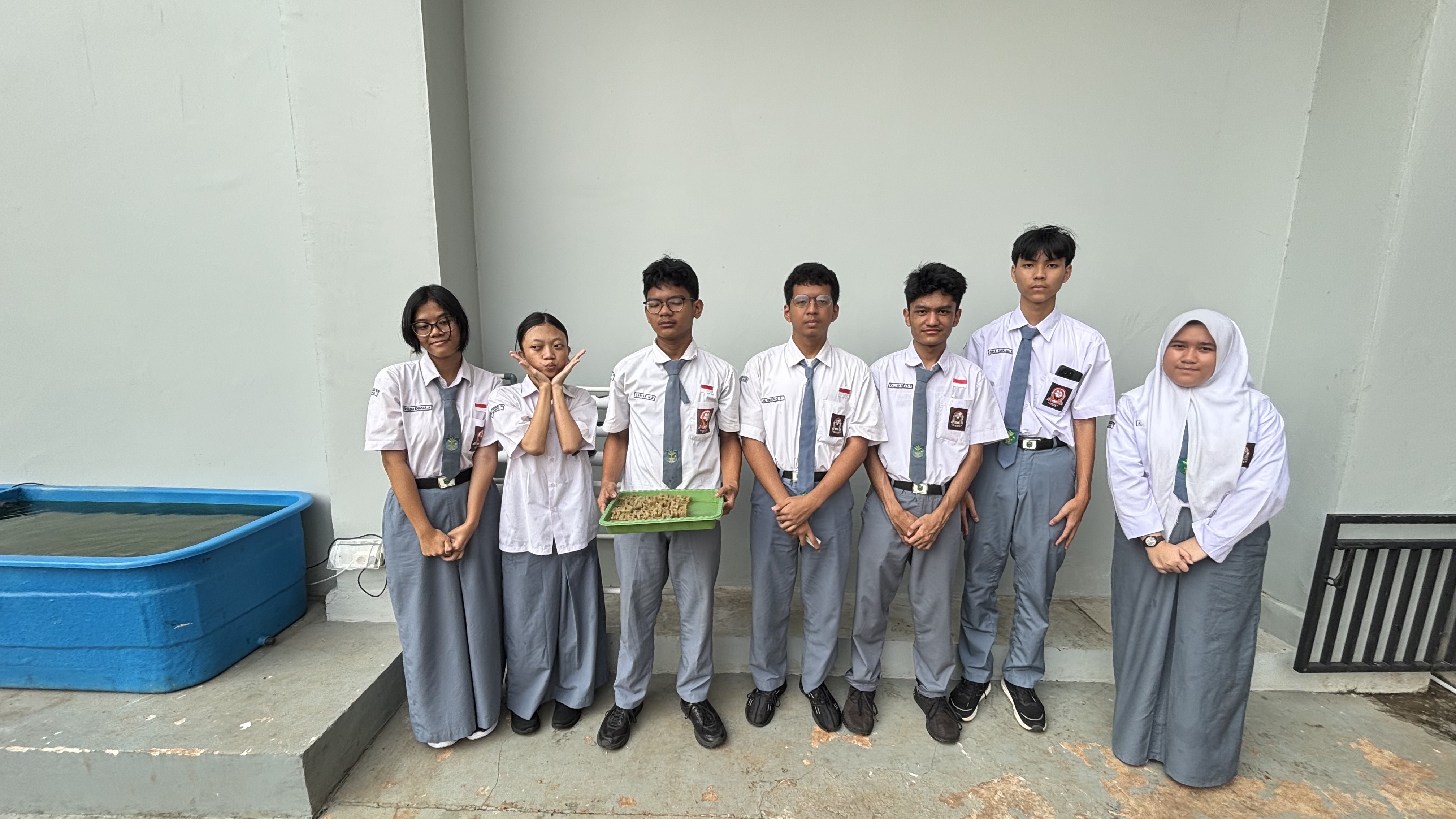 Lahan Urban Farming SMAN 116 Jakarta - Gambar 18