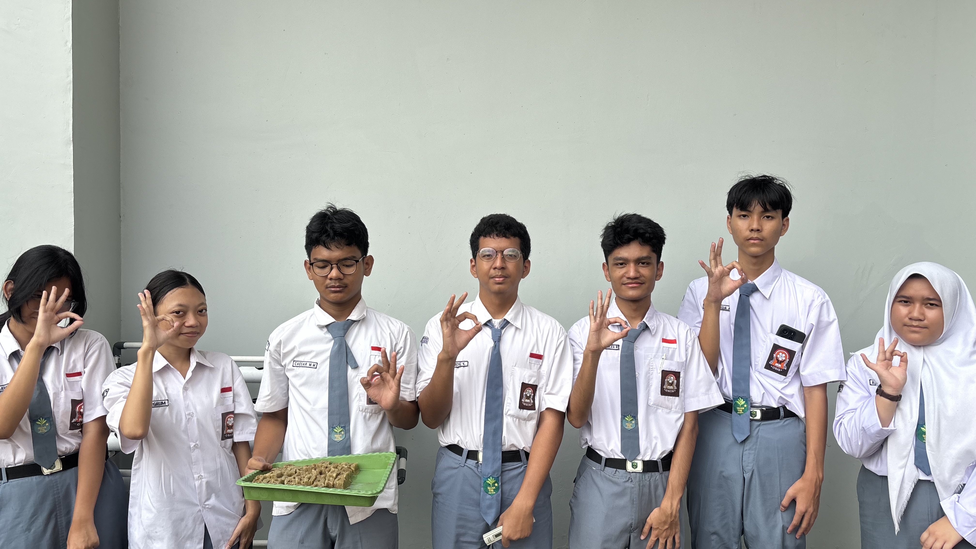 Lahan Urban Farming SMAN 116 Jakarta - Gambar 27