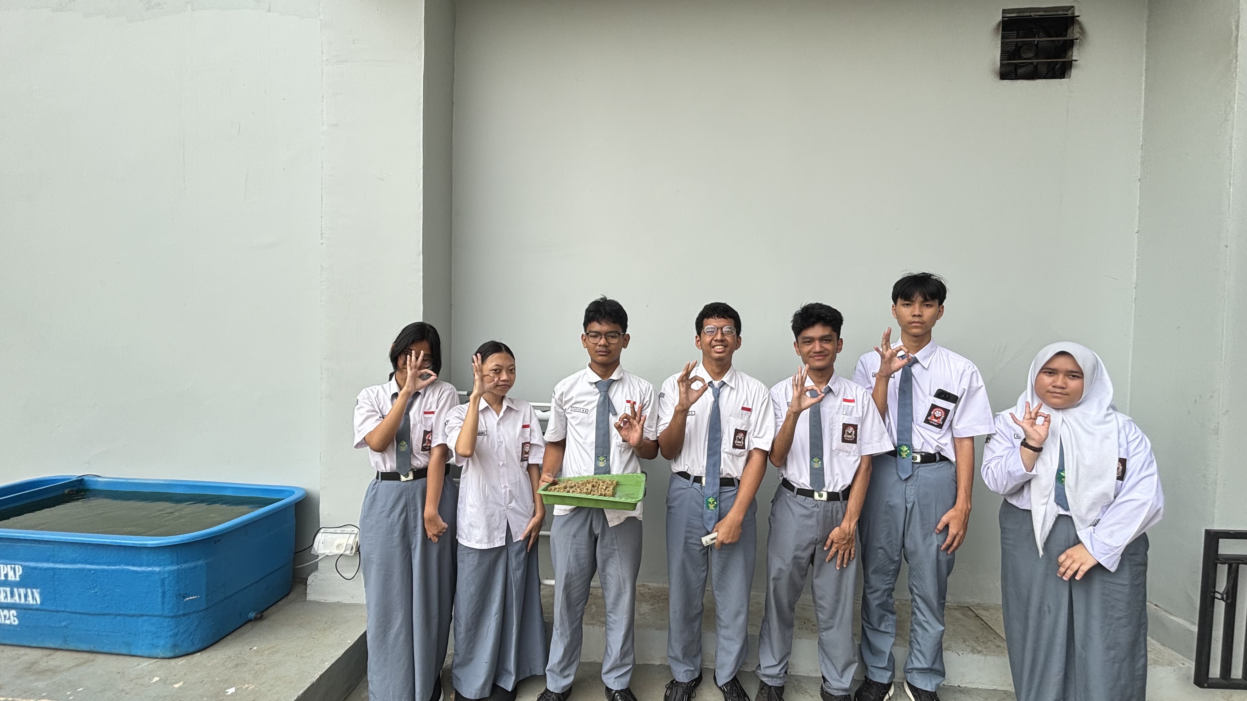 Lahan Urban Farming SMAN 116 Jakarta - Gambar 19