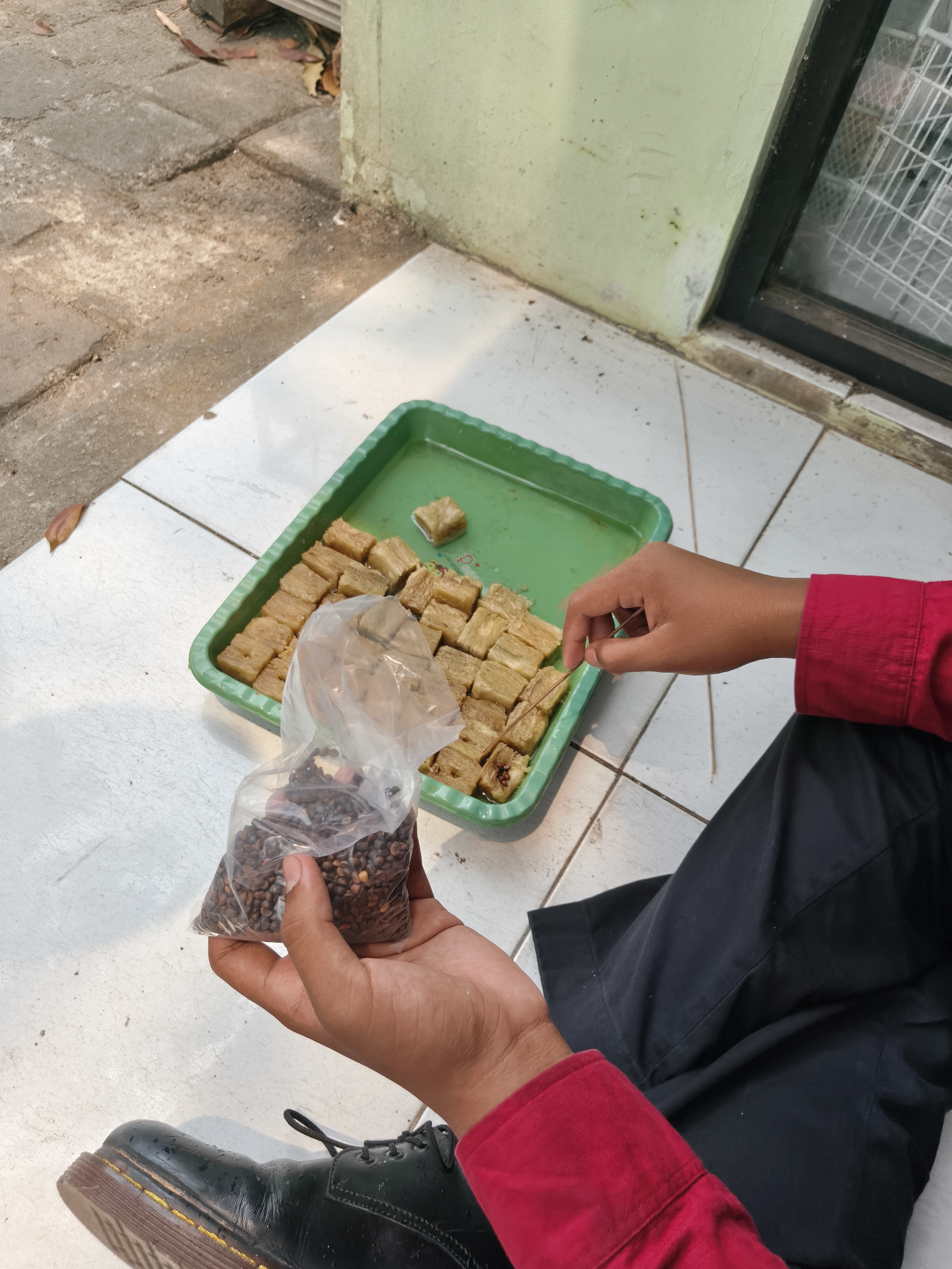 Lahan Urban Farming SMKN 59 Jakarta - Gambar 21
