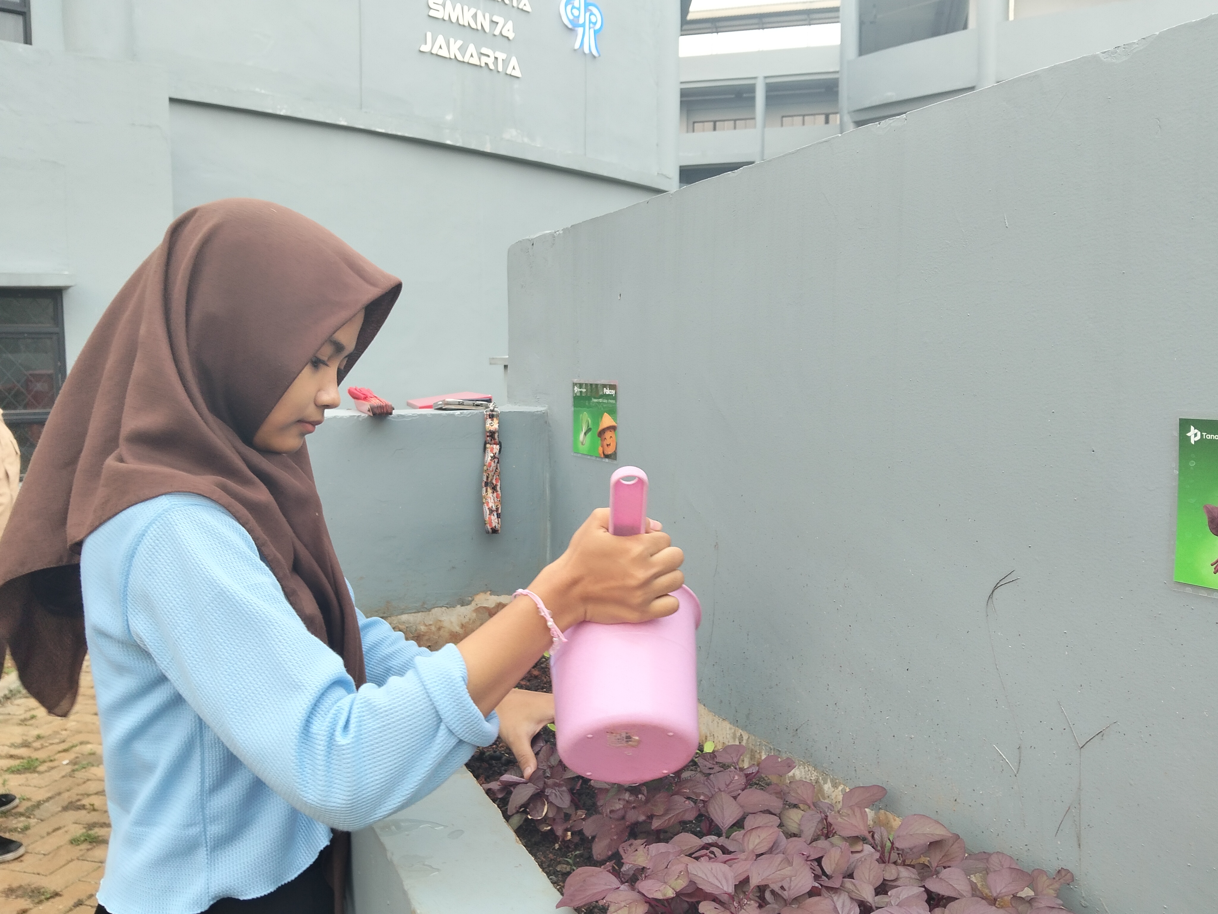 KEBUN SMKN 74 JAGAKARSA JAKARTA SELATAN - Gambar 569