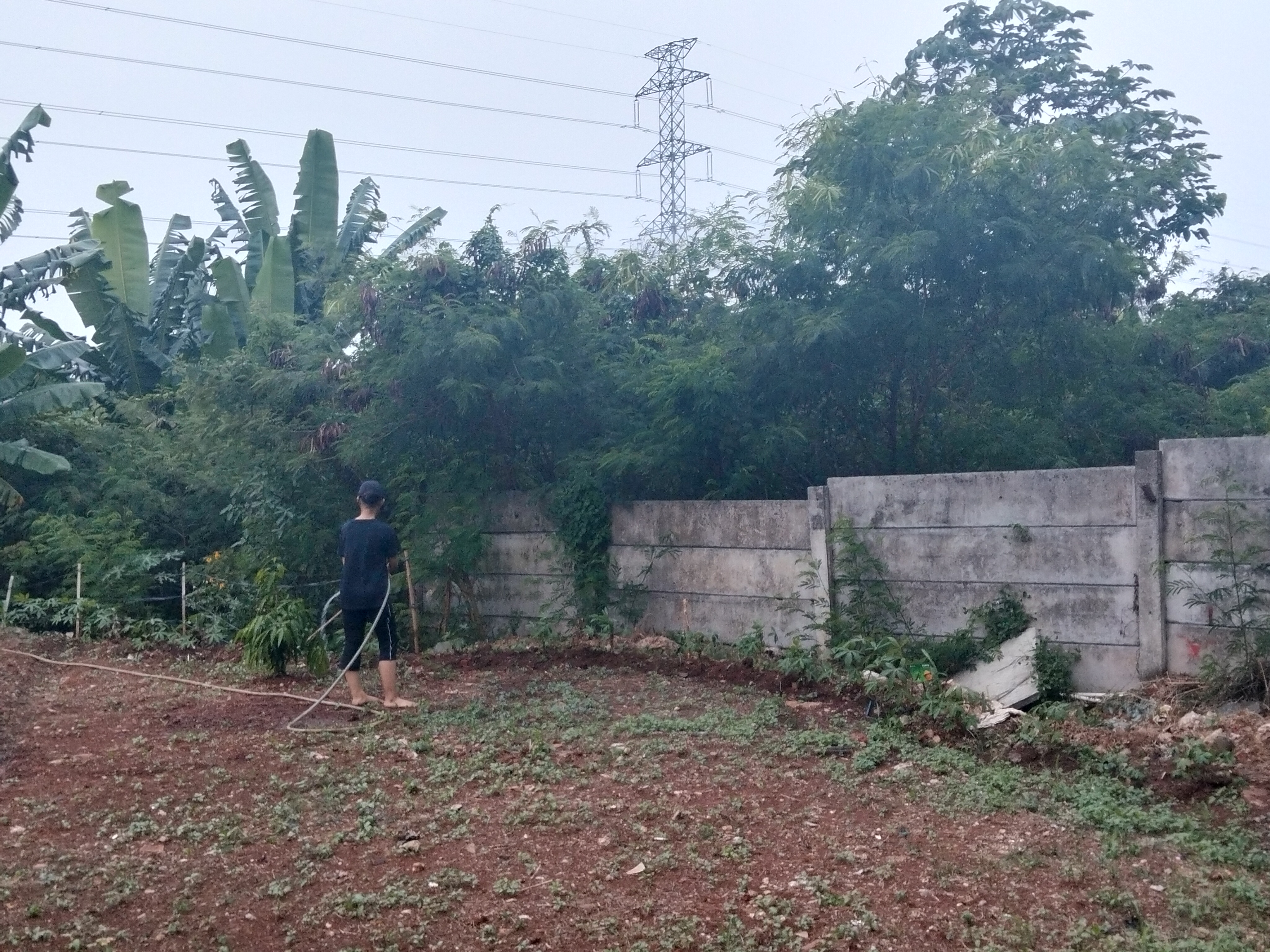 KEBUN SMKN 74 JAGAKARSA JAKARTA SELATAN - Gambar 566