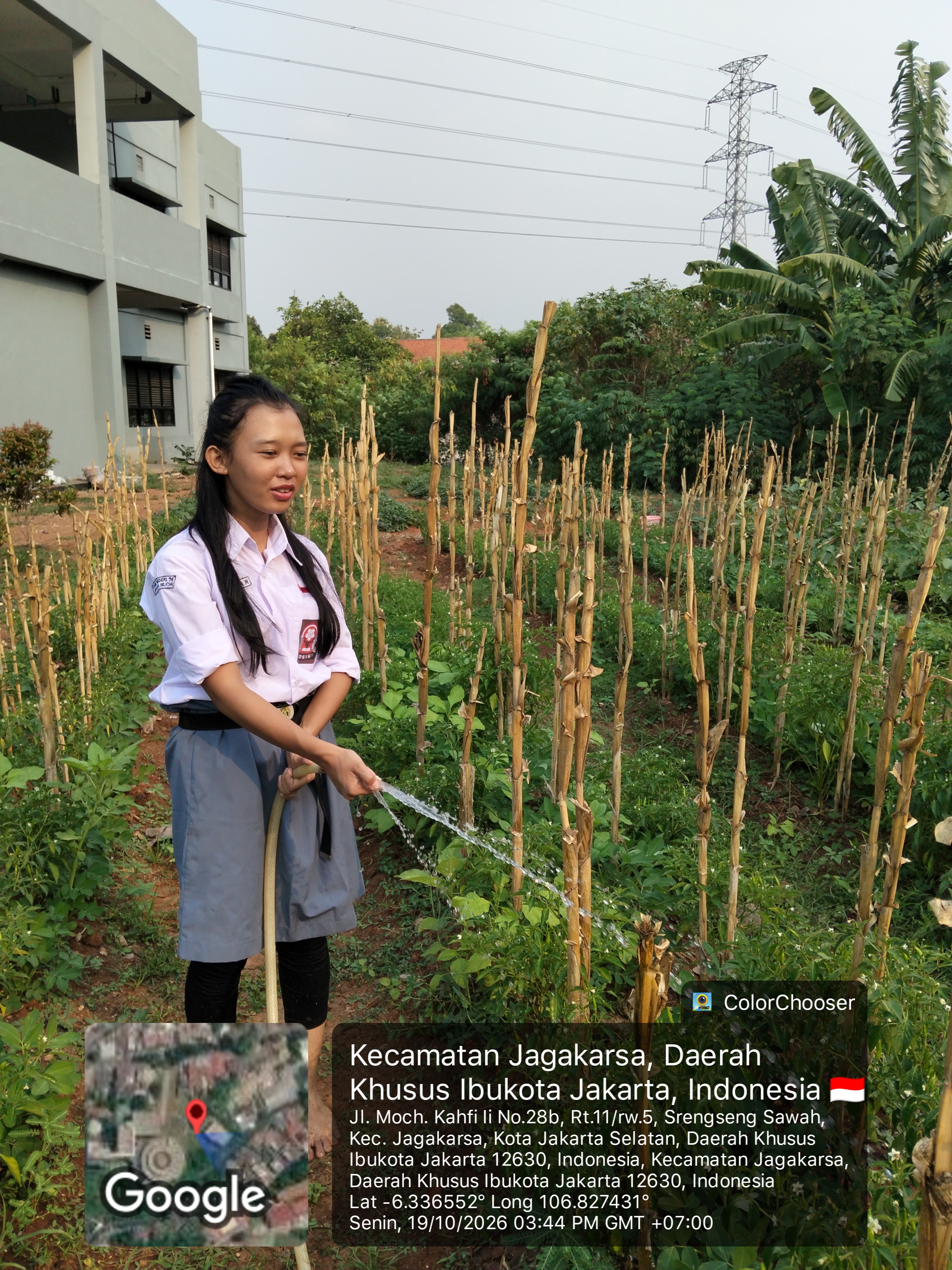 KEBUN SMKN 74 JAGAKARSA JAKARTA SELATAN - Gambar 27