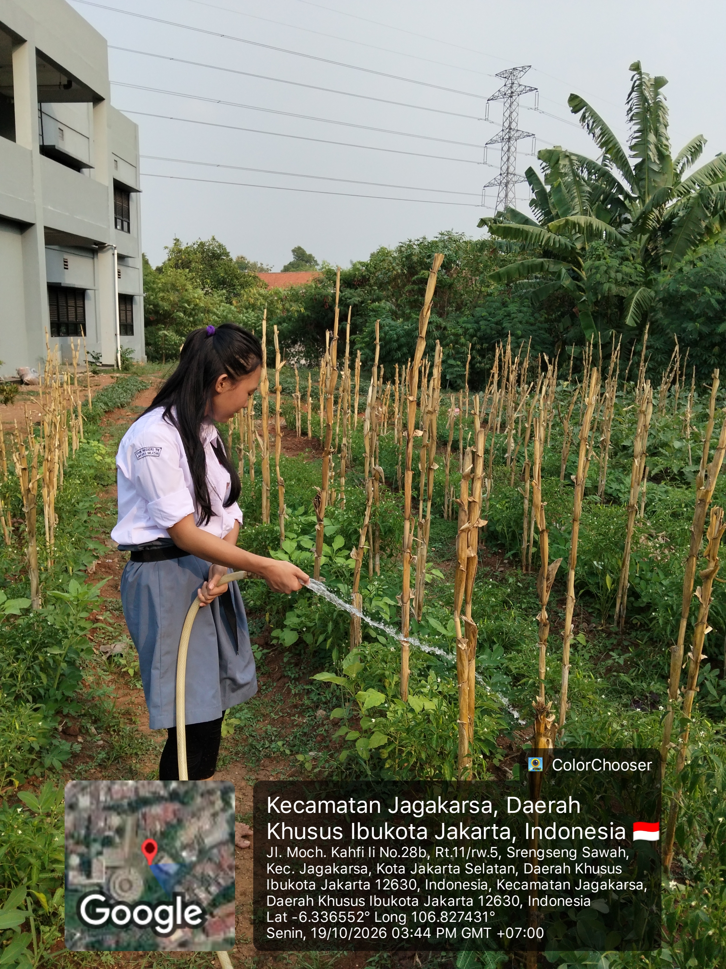 KEBUN SMKN 74 JAGAKARSA JAKARTA SELATAN - Gambar 28