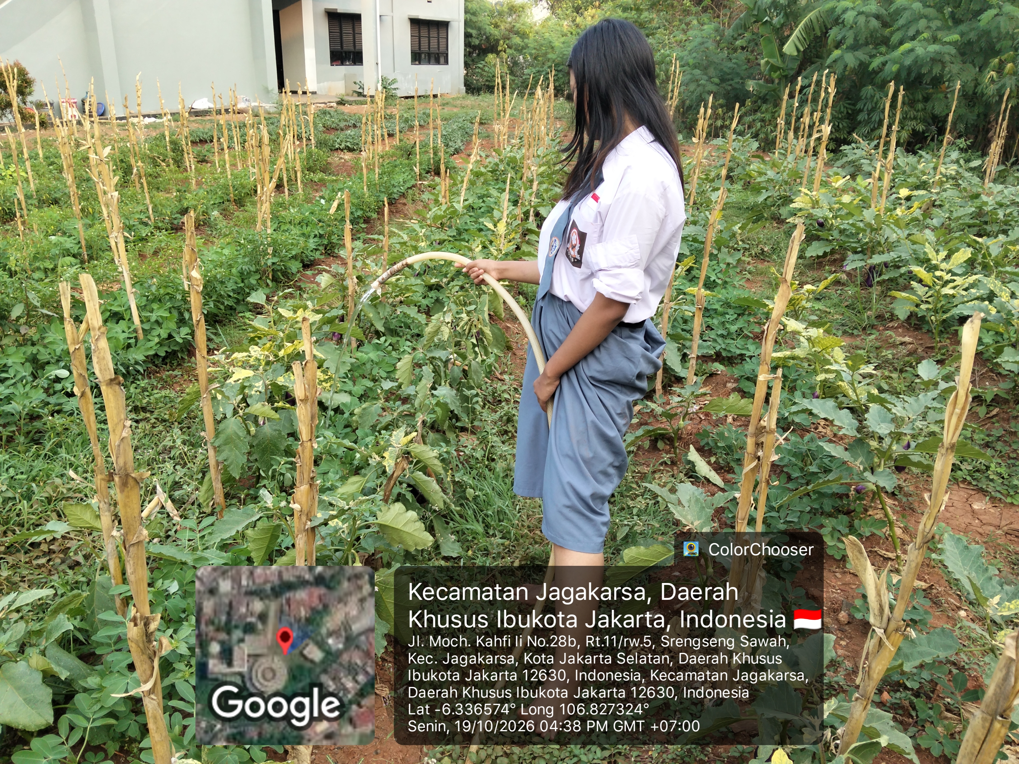 KEBUN SMKN 74 JAGAKARSA JAKARTA SELATAN - Gambar 25