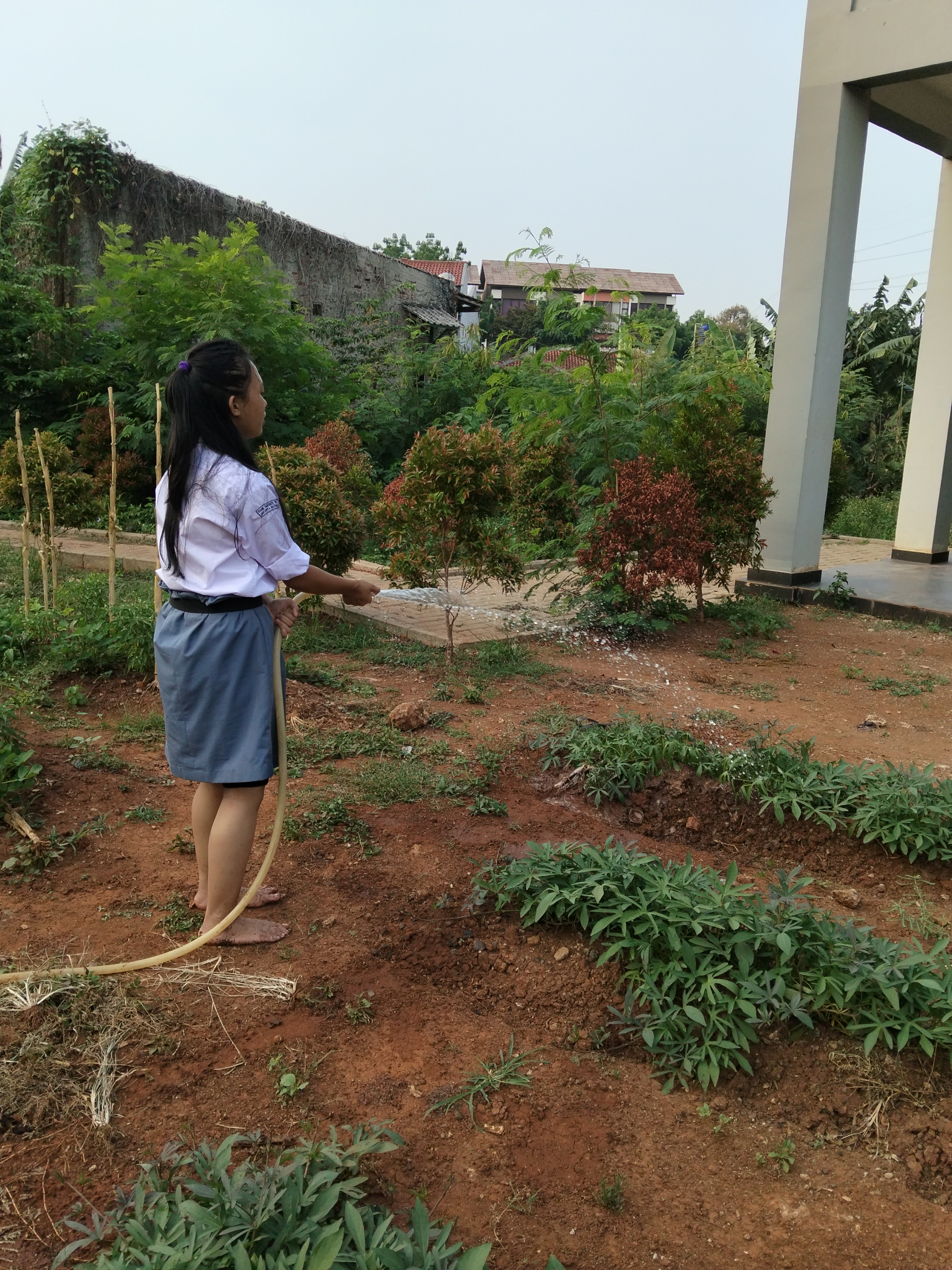 KEBUN SMKN 74 JAGAKARSA JAKARTA SELATAN - Gambar 20