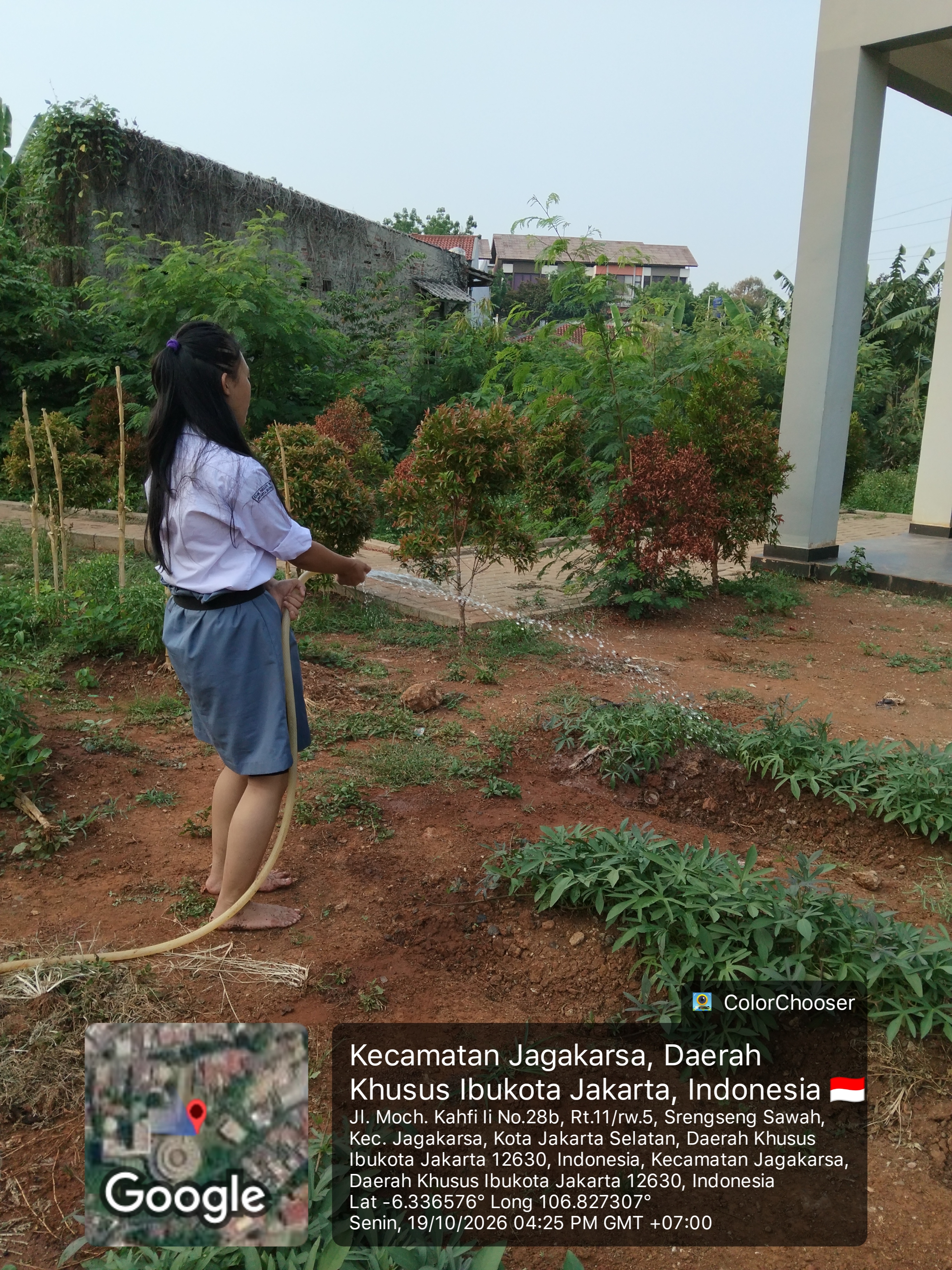 KEBUN SMKN 74 JAGAKARSA JAKARTA SELATAN - Gambar 22