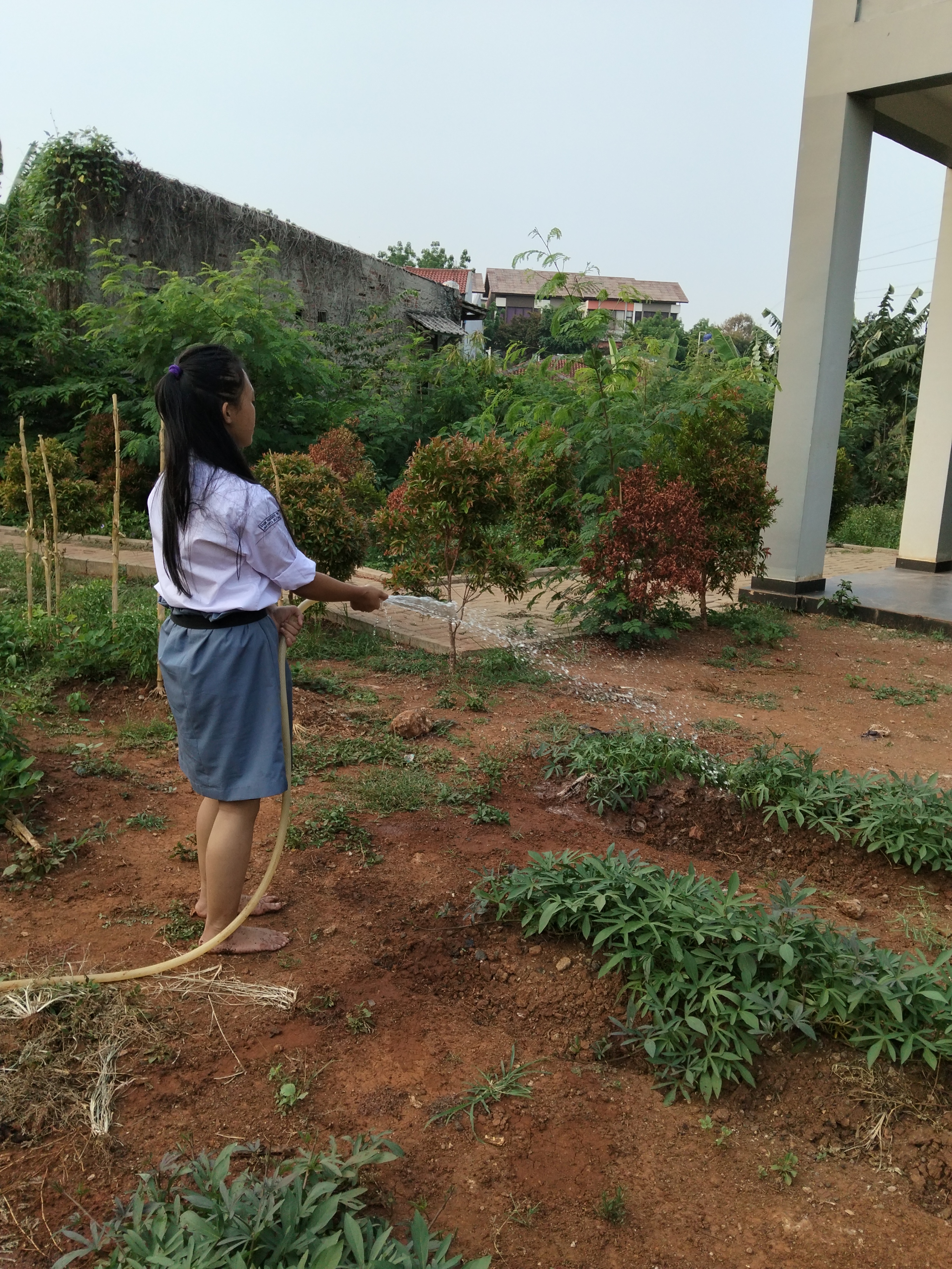 KEBUN SMKN 74 JAGAKARSA JAKARTA SELATAN - Gambar 21
