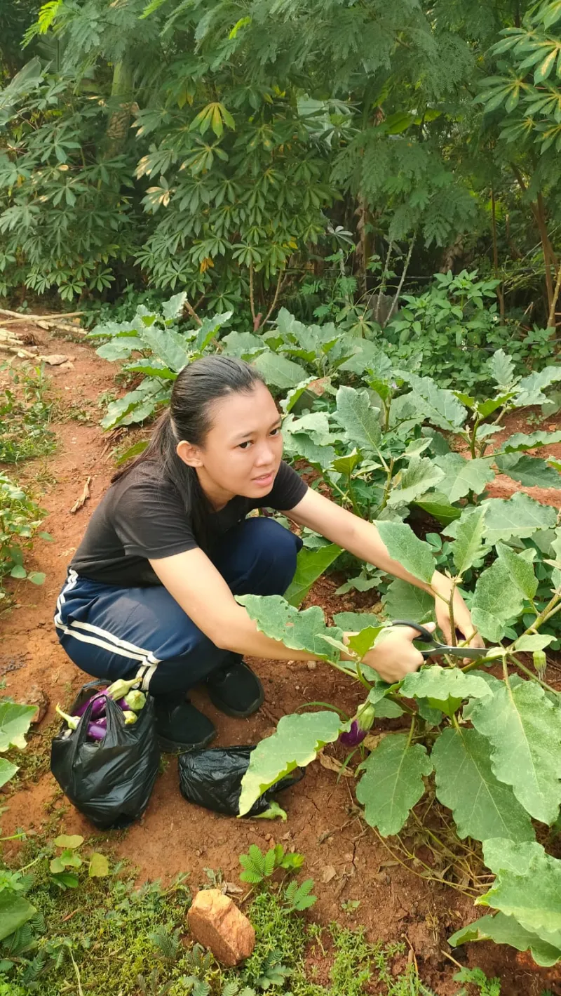 KEBUN SMKN 74 JAGAKARSA JAKARTA SELATAN - Gambar 19