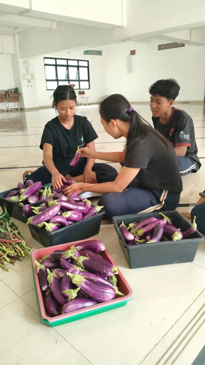 KEBUN SMKN 74 JAGAKARSA JAKARTA SELATAN - Gambar 15