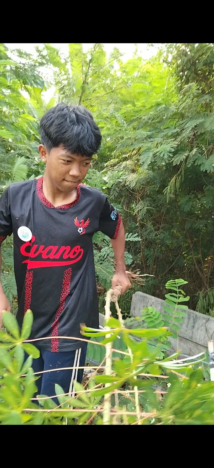 KEBUN SMKN 74 JAGAKARSA JAKARTA SELATAN - Gambar 14