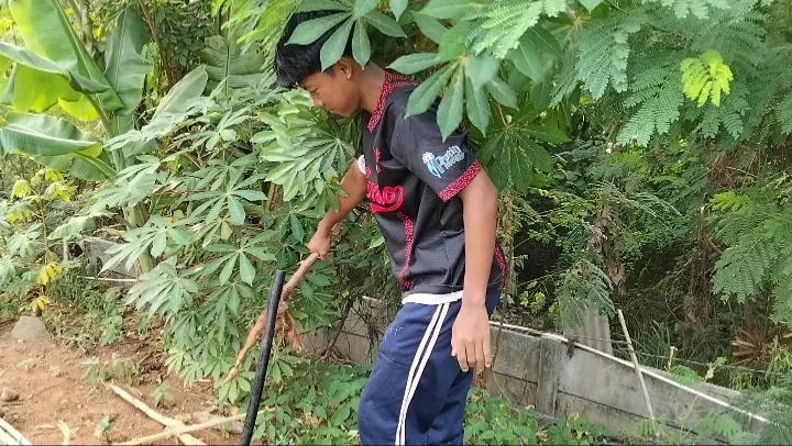 KEBUN SMKN 74 JAGAKARSA JAKARTA SELATAN - Gambar 11